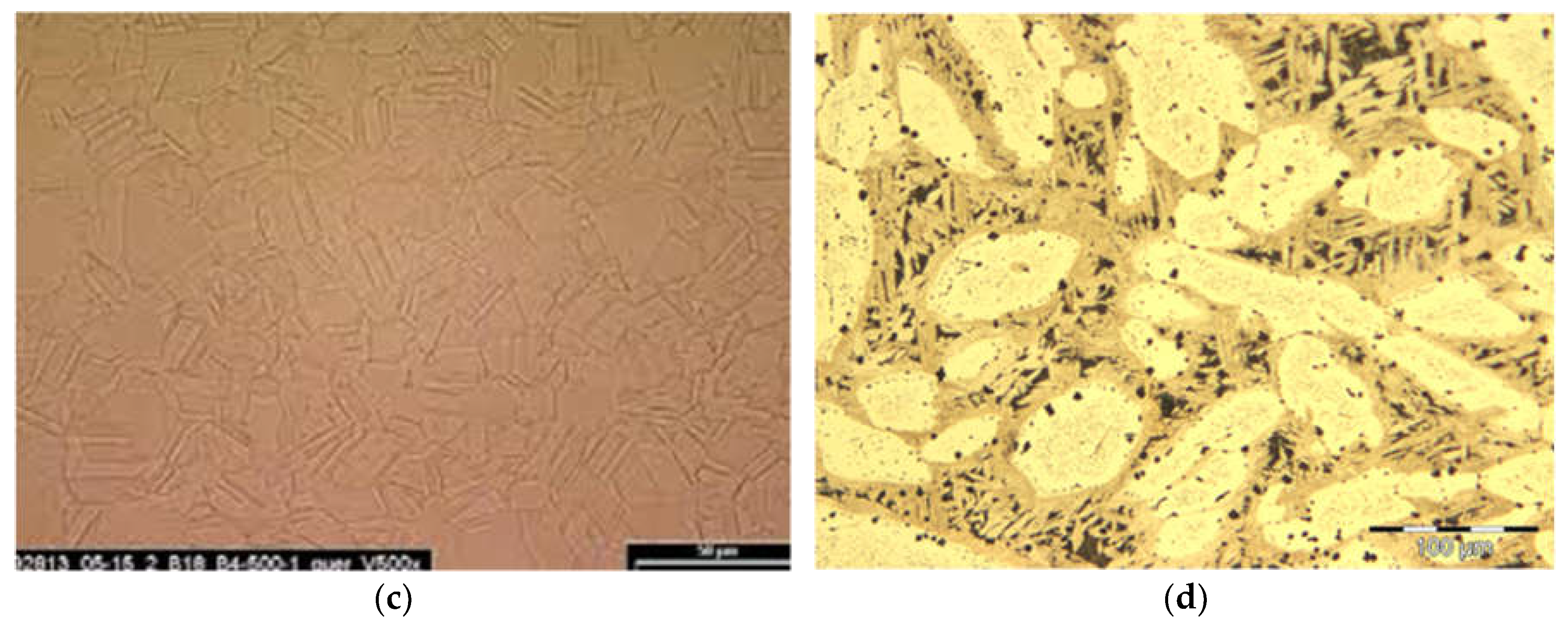 Preprints 105166 g001b