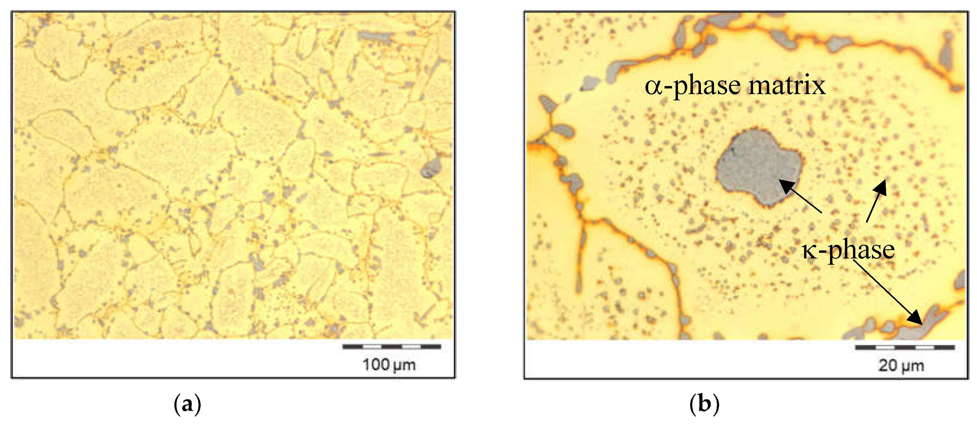 Preprints 105166 g005