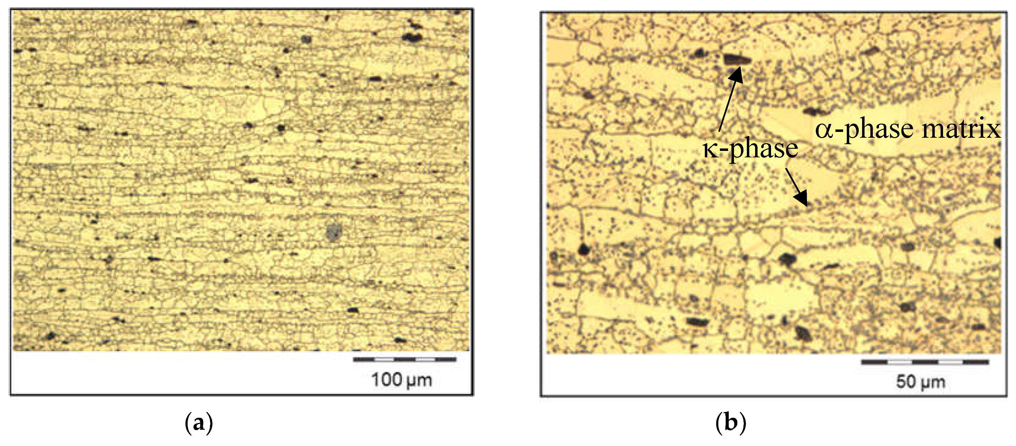 Preprints 105166 g006