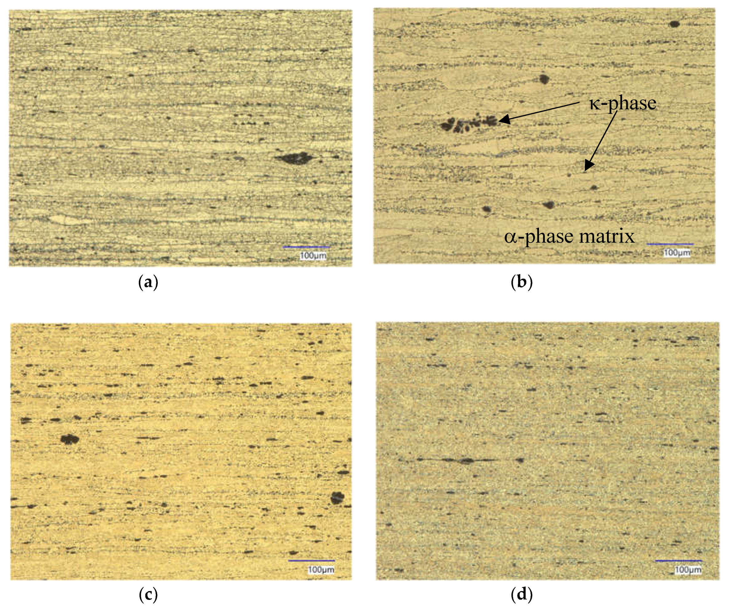 Preprints 105166 g009