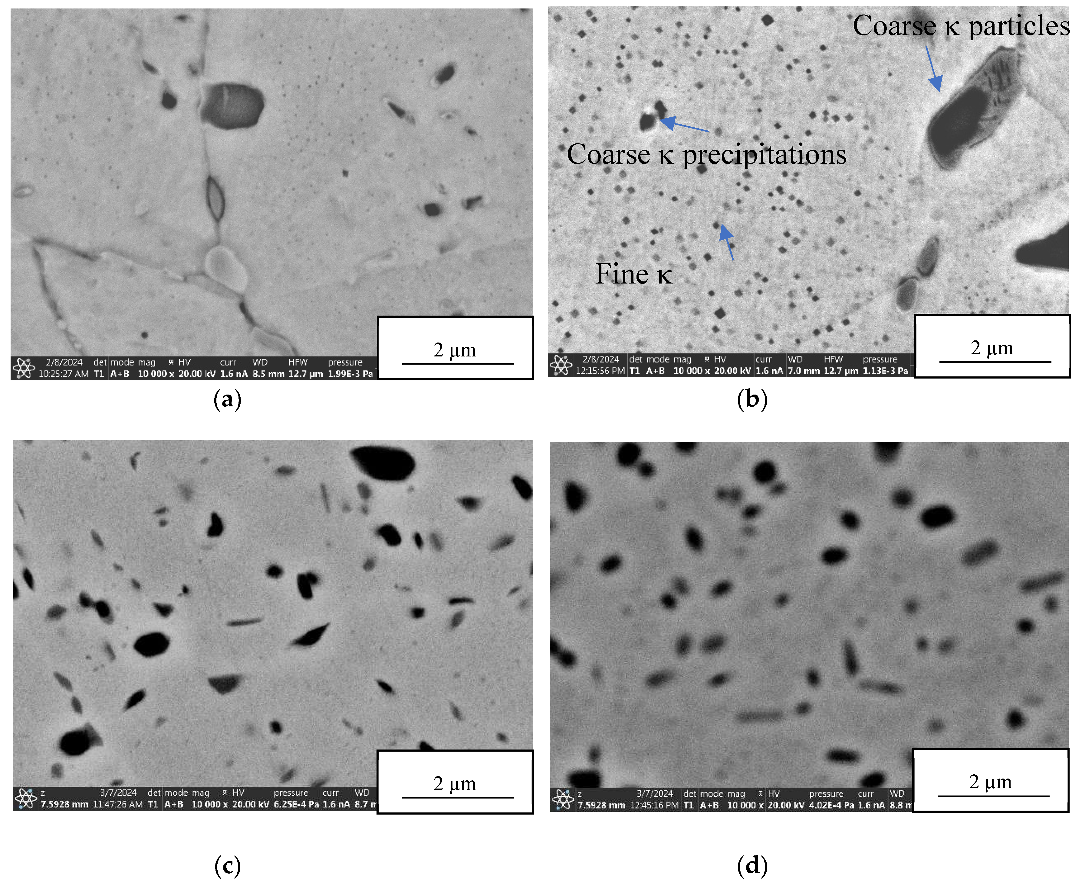 Preprints 105166 g010