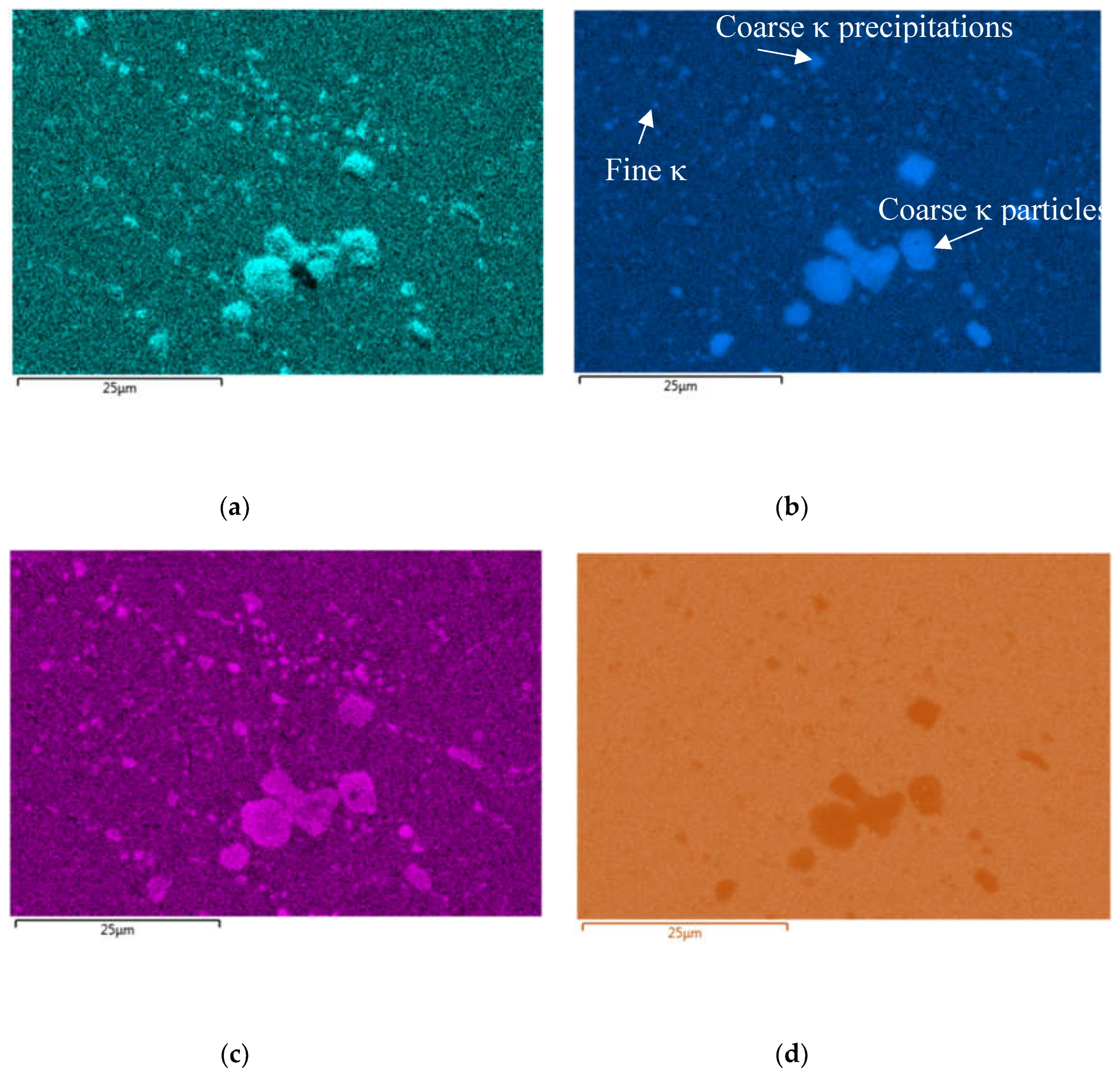 Preprints 105166 g011