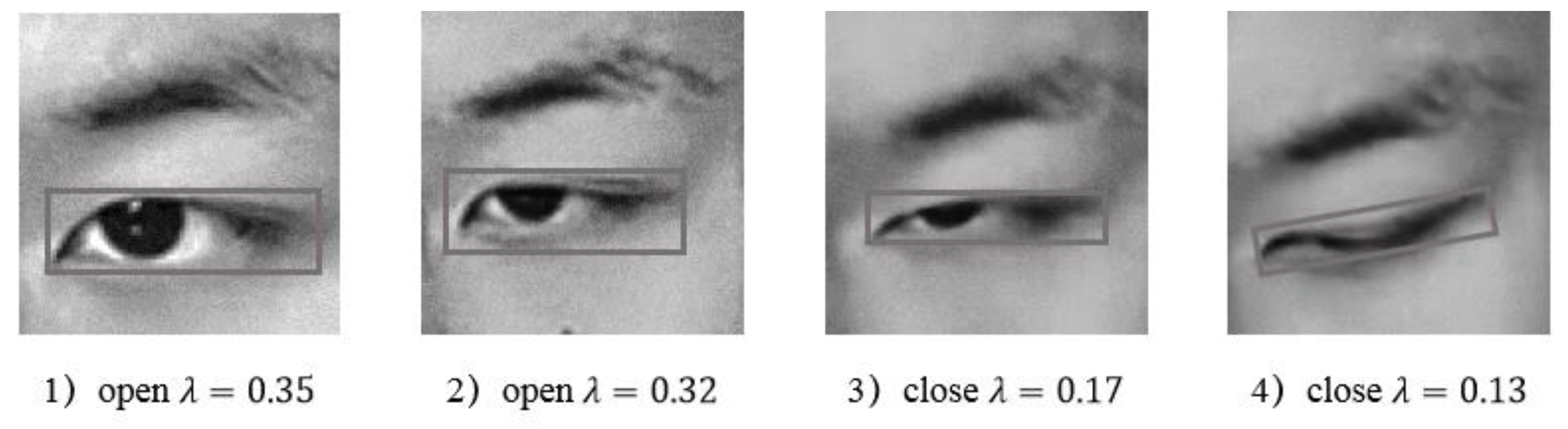 Preprints 88113 g006