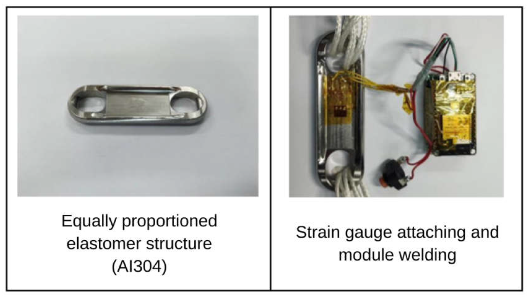 Preprints 116796 g020