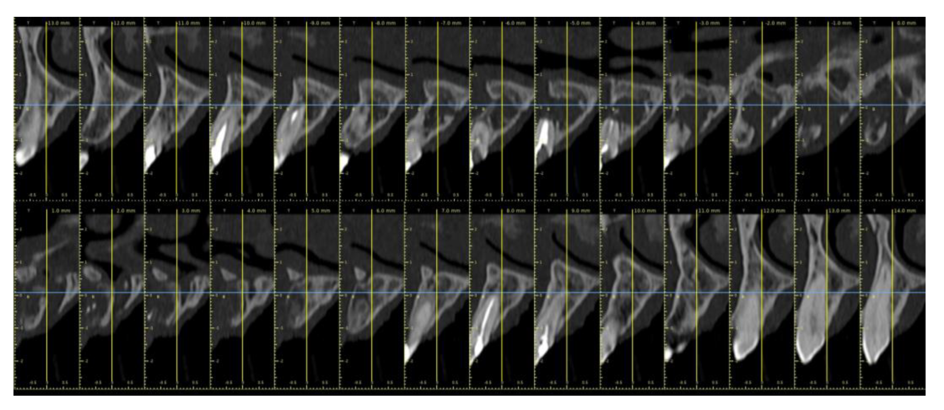 Preprints 77316 g001