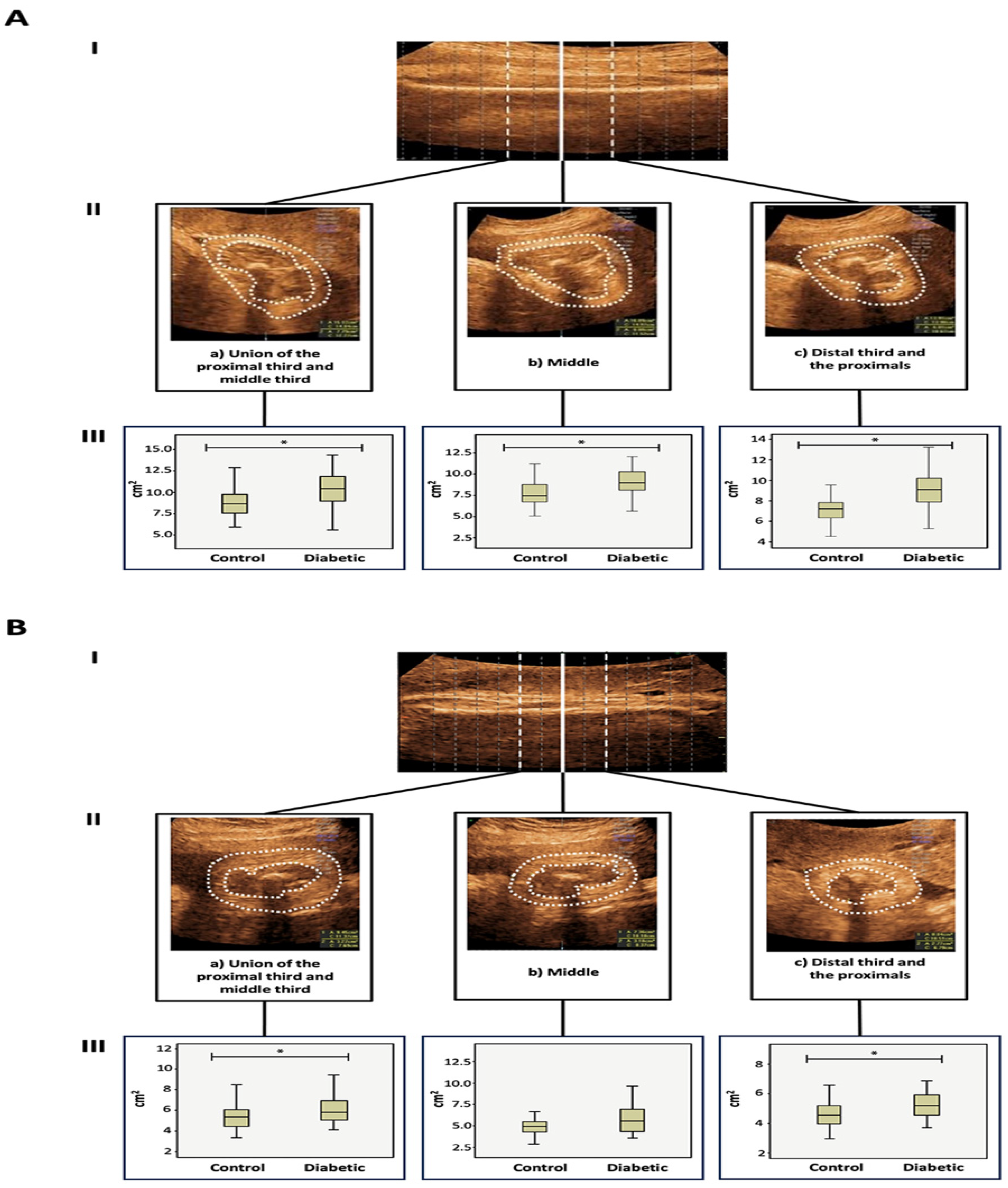 Preprints 84559 g003