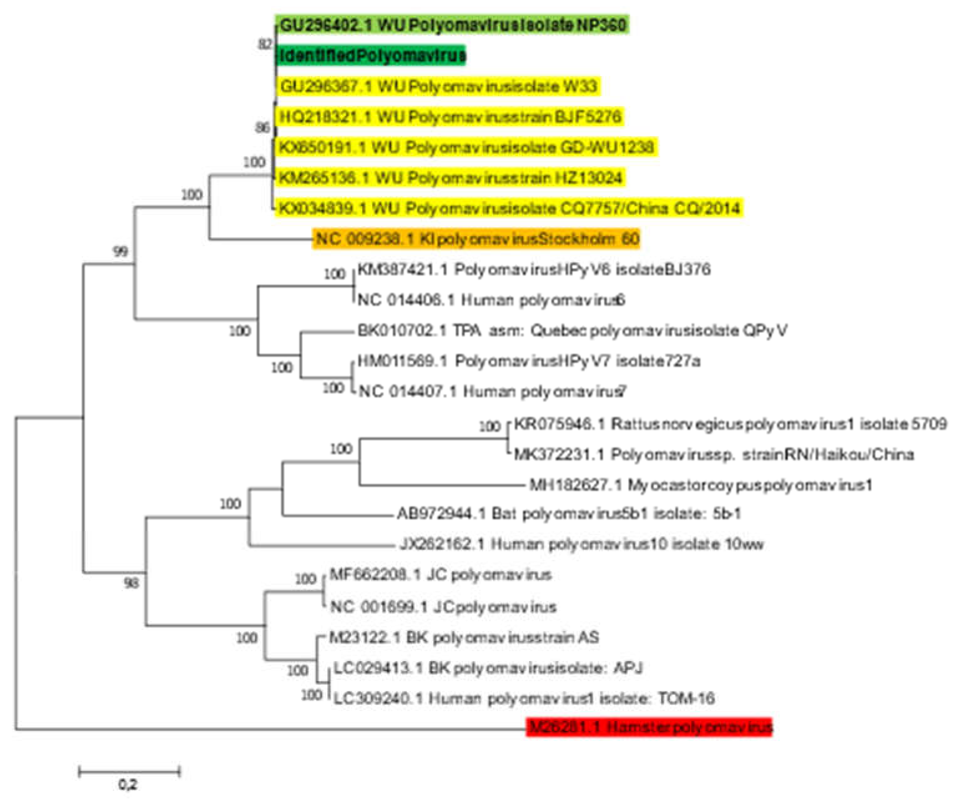 Preprints 82512 g002