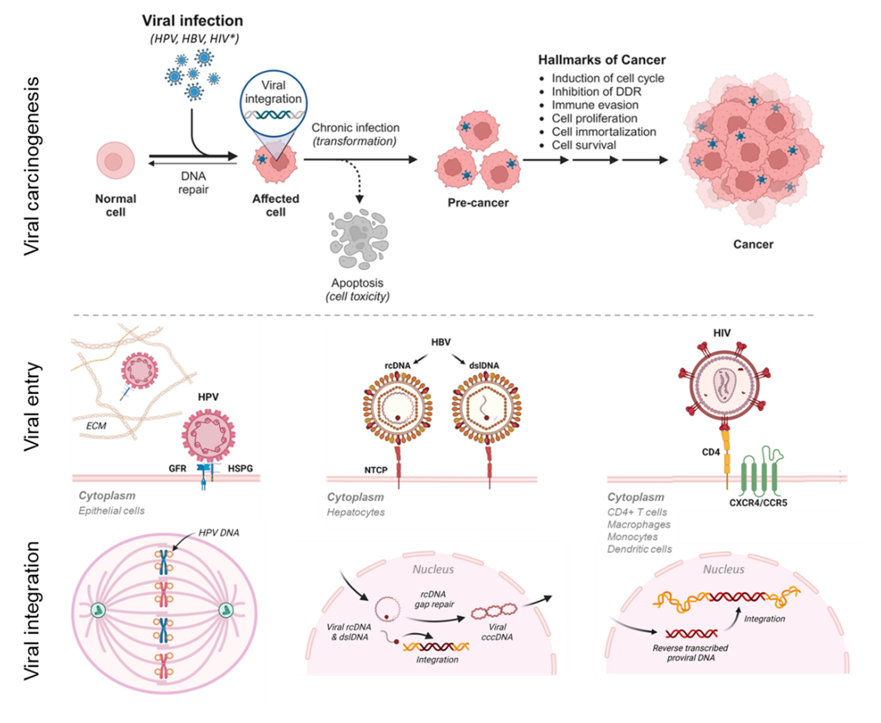 Preprints 107636 g001