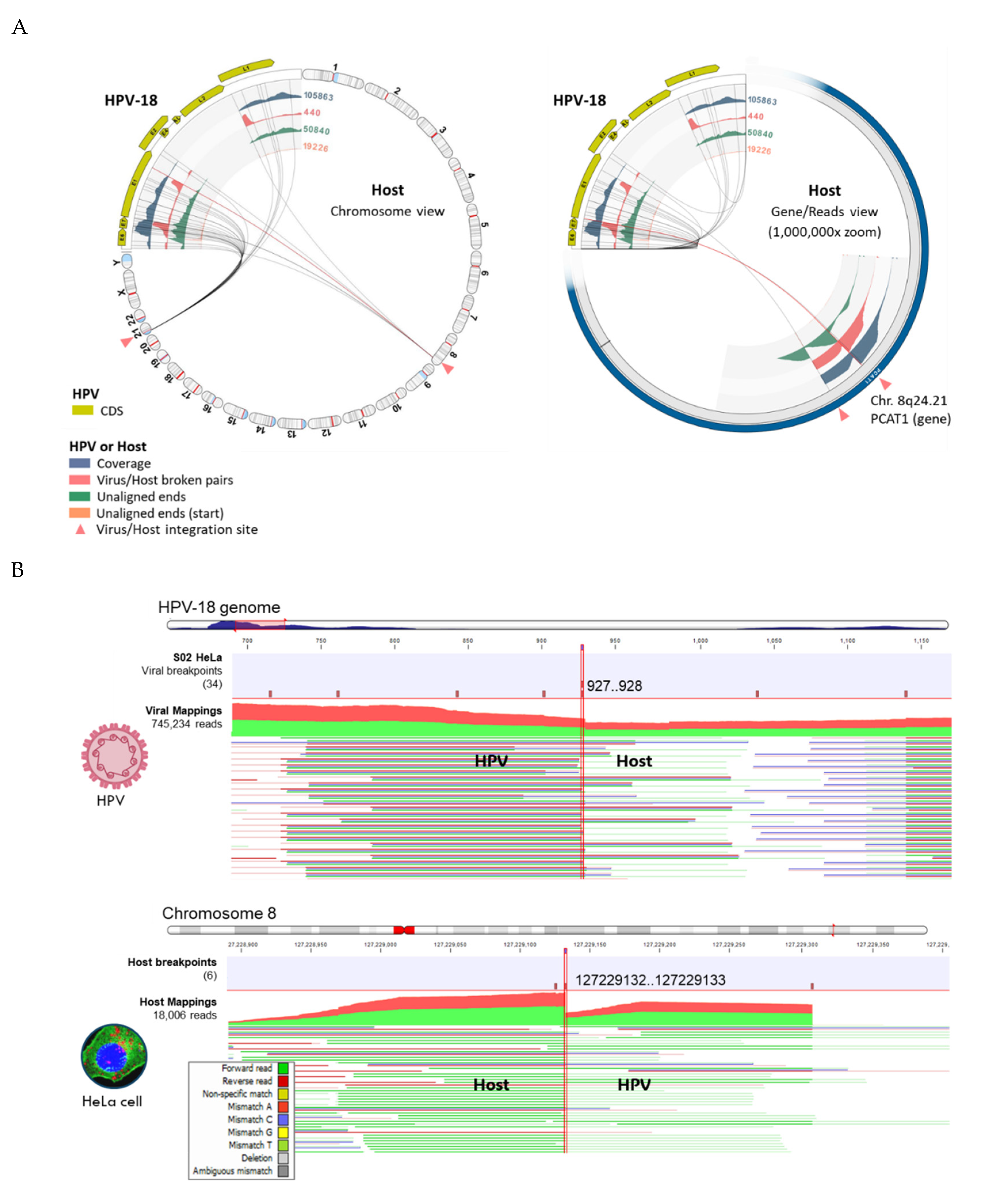 Preprints 107636 g006