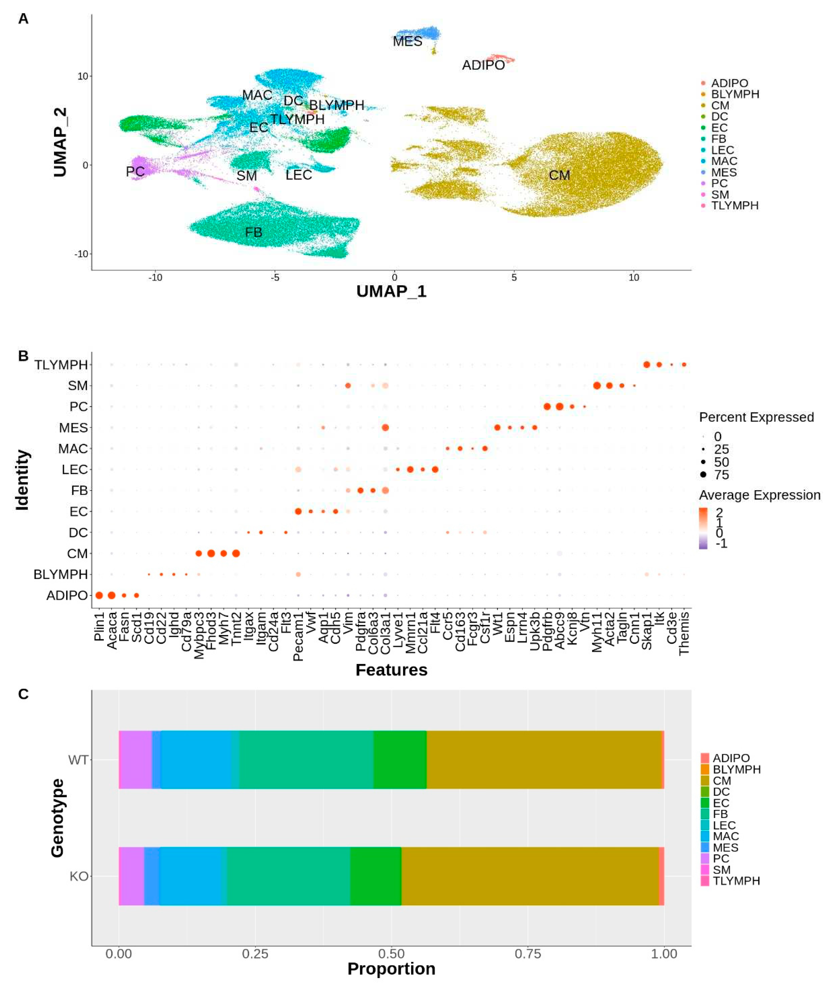 Preprints 77351 g001