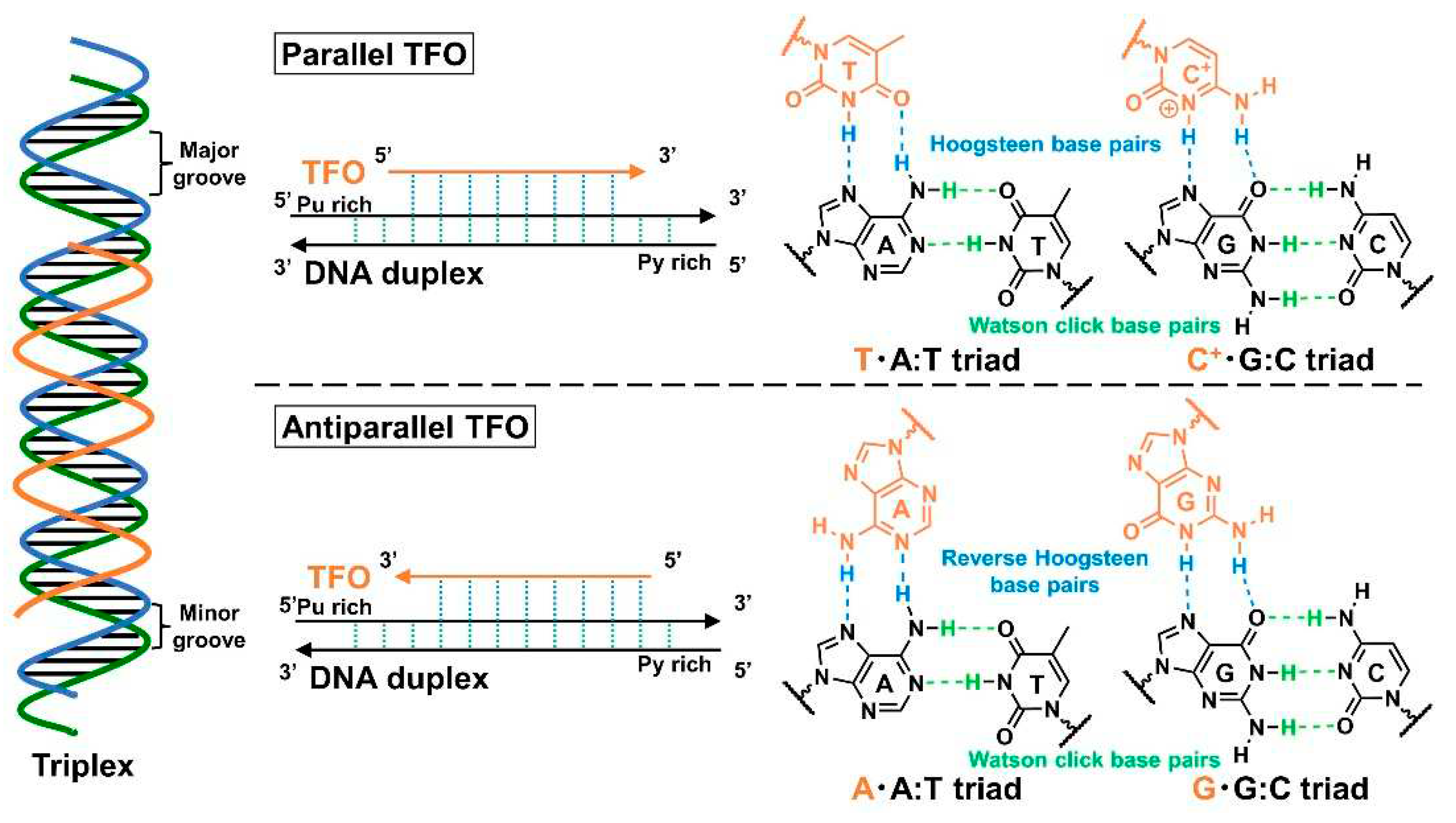 Preprints 85037 g001