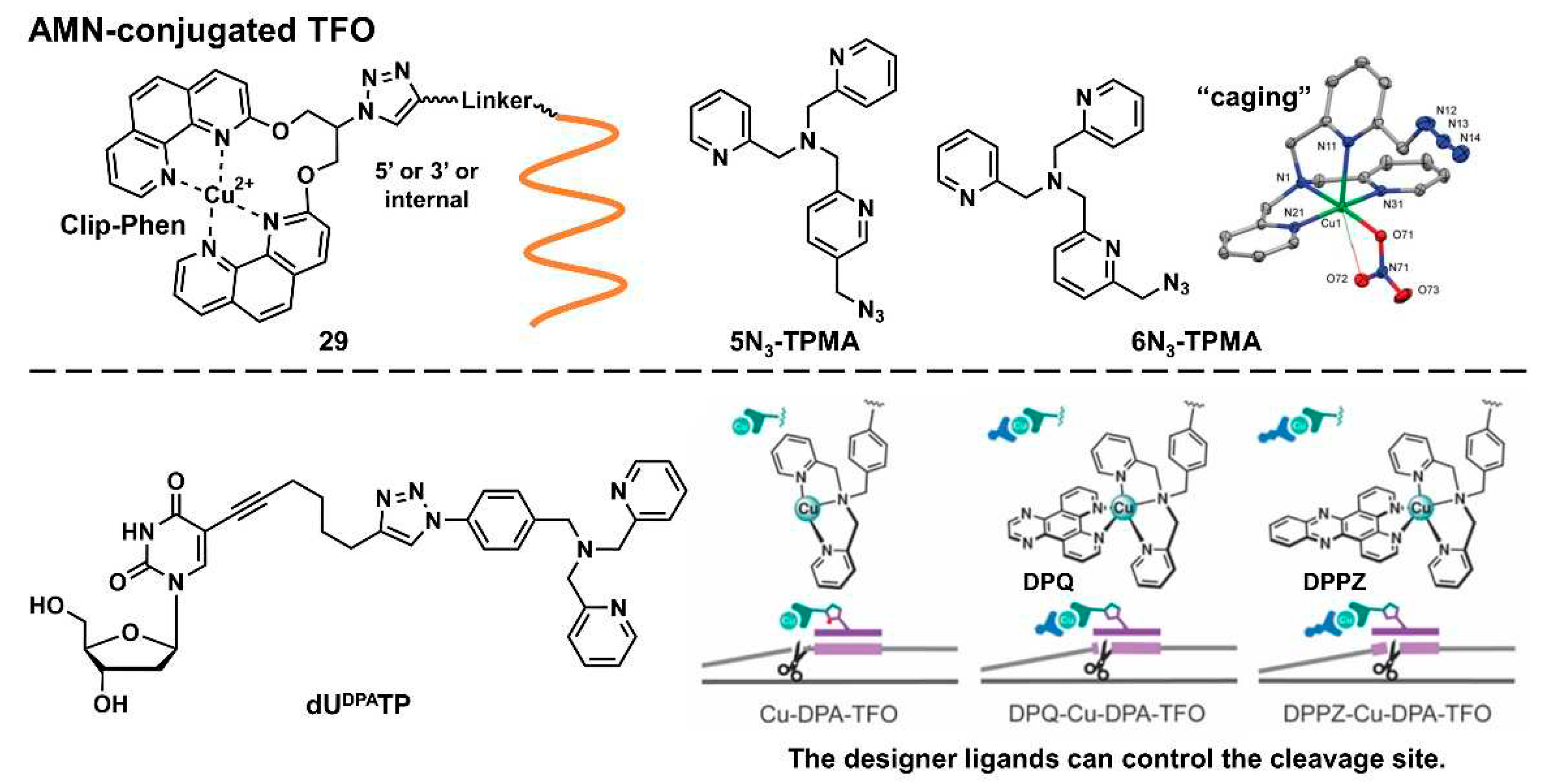 Preprints 85037 g007