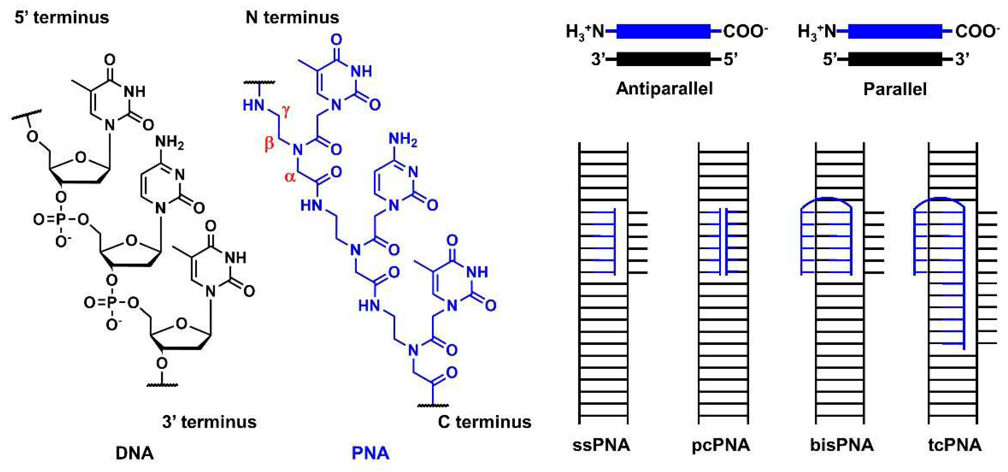 Preprints 85037 g008