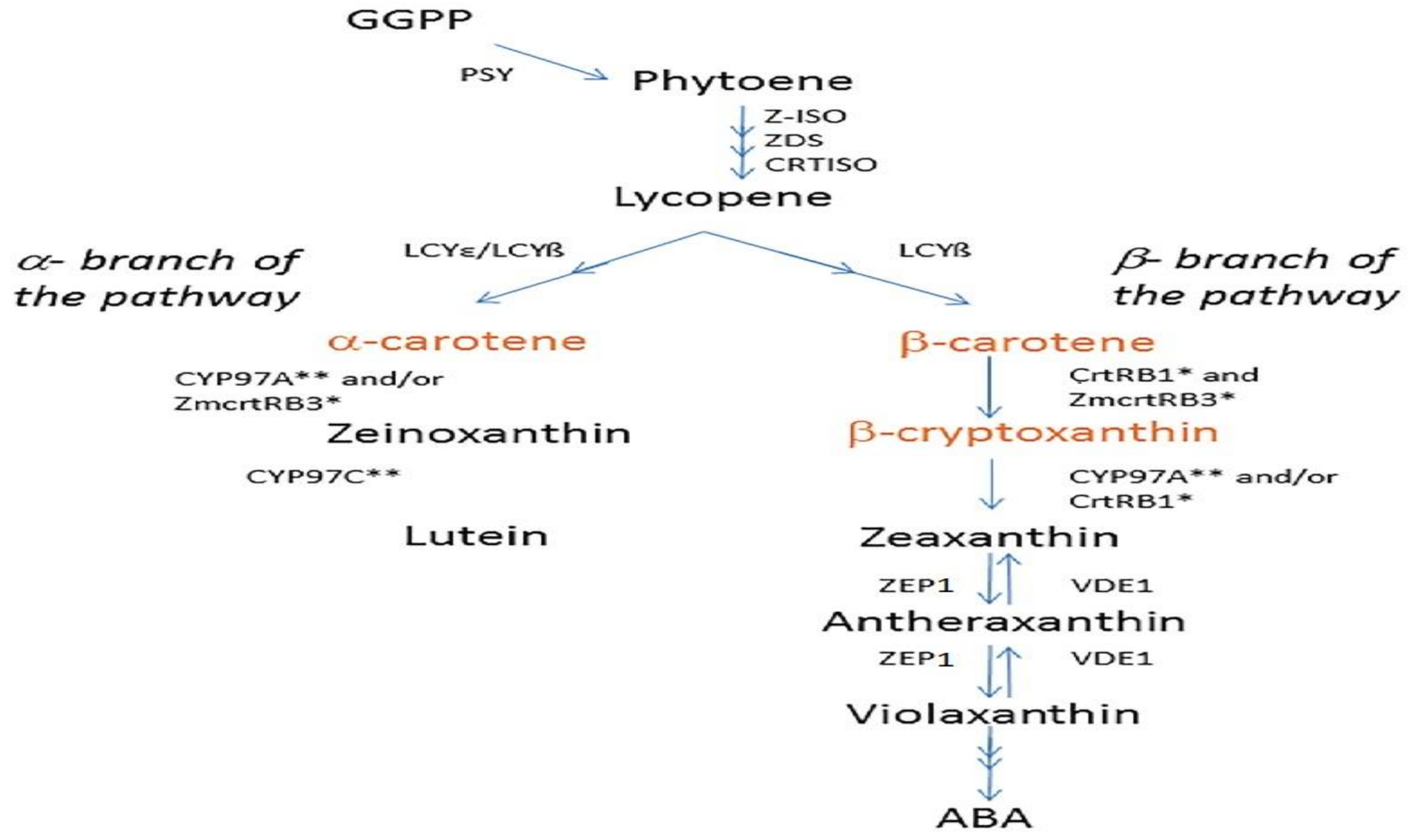 Preprints 138613 g001