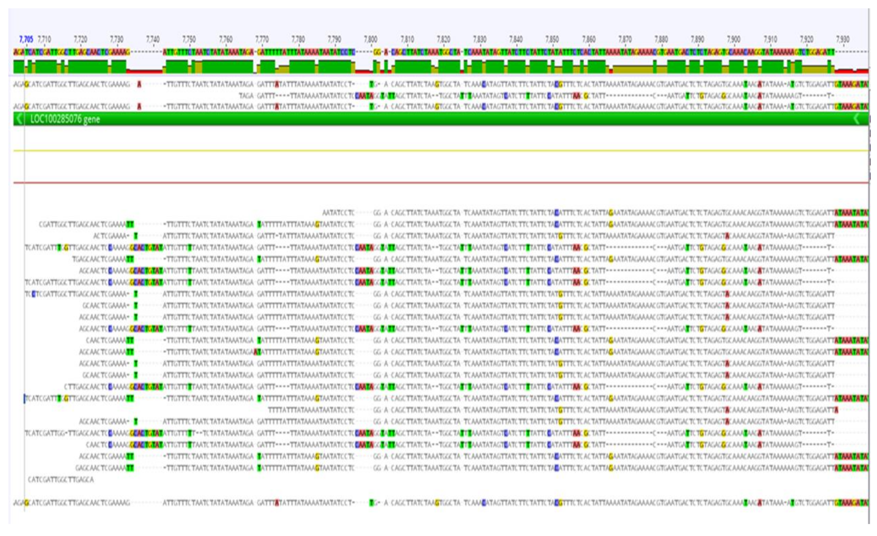 Preprints 138613 g004