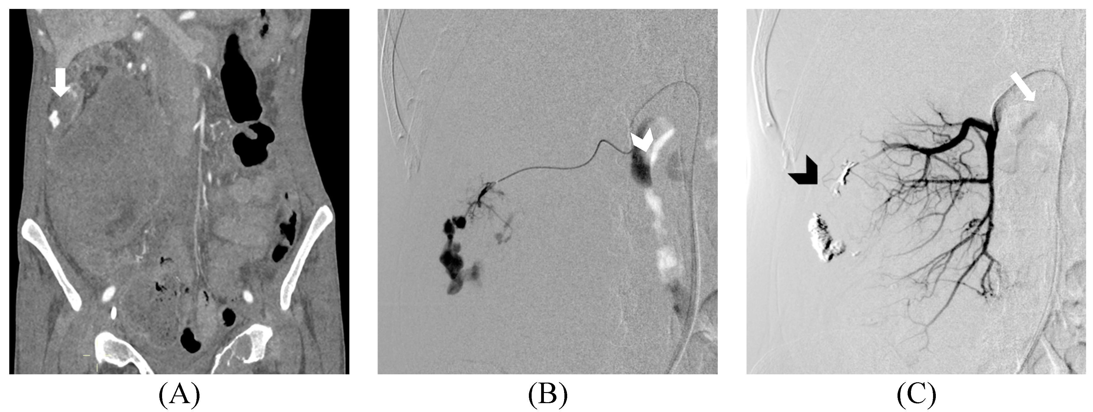 Preprints 81156 g001