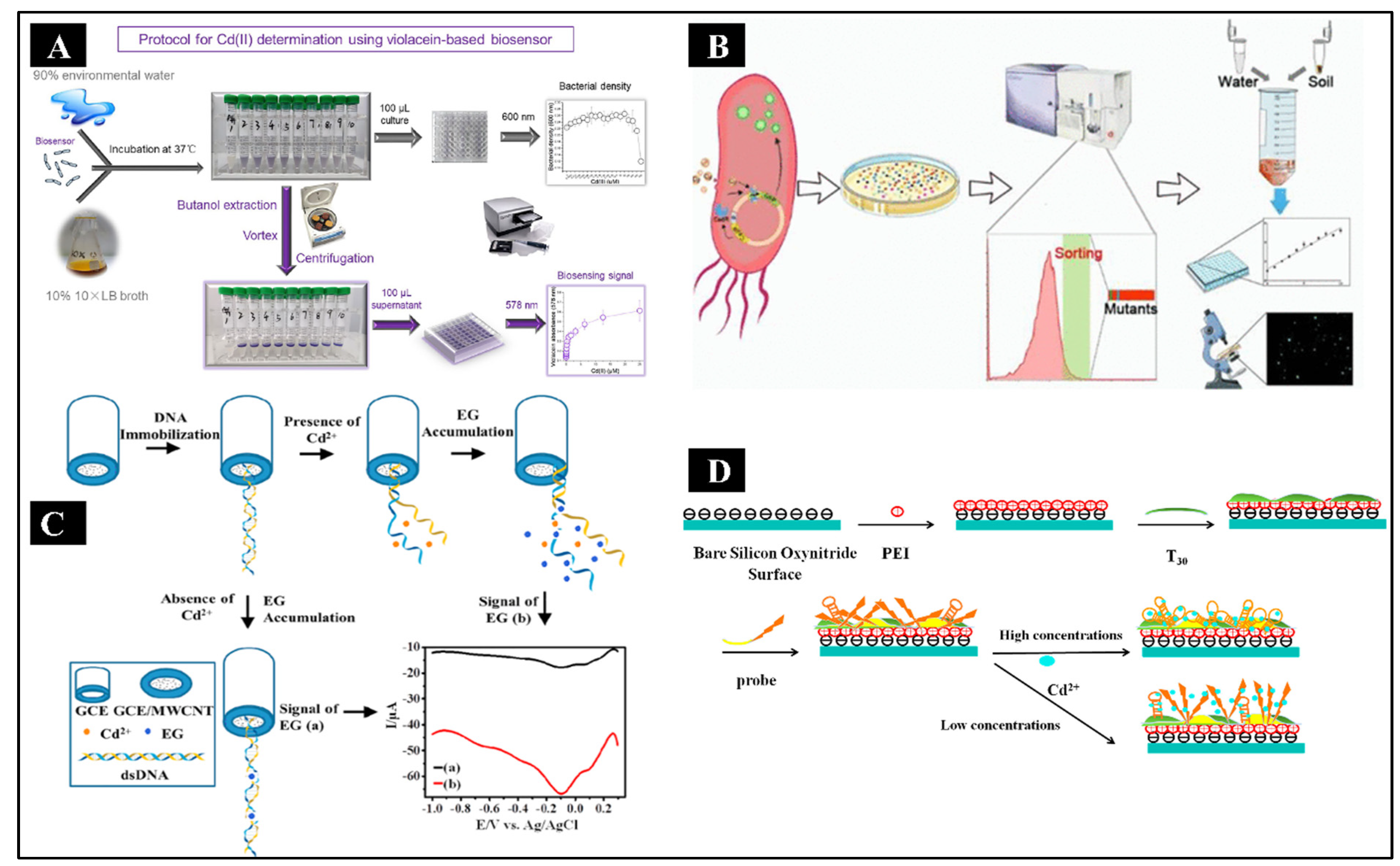 Preprints 96097 g003