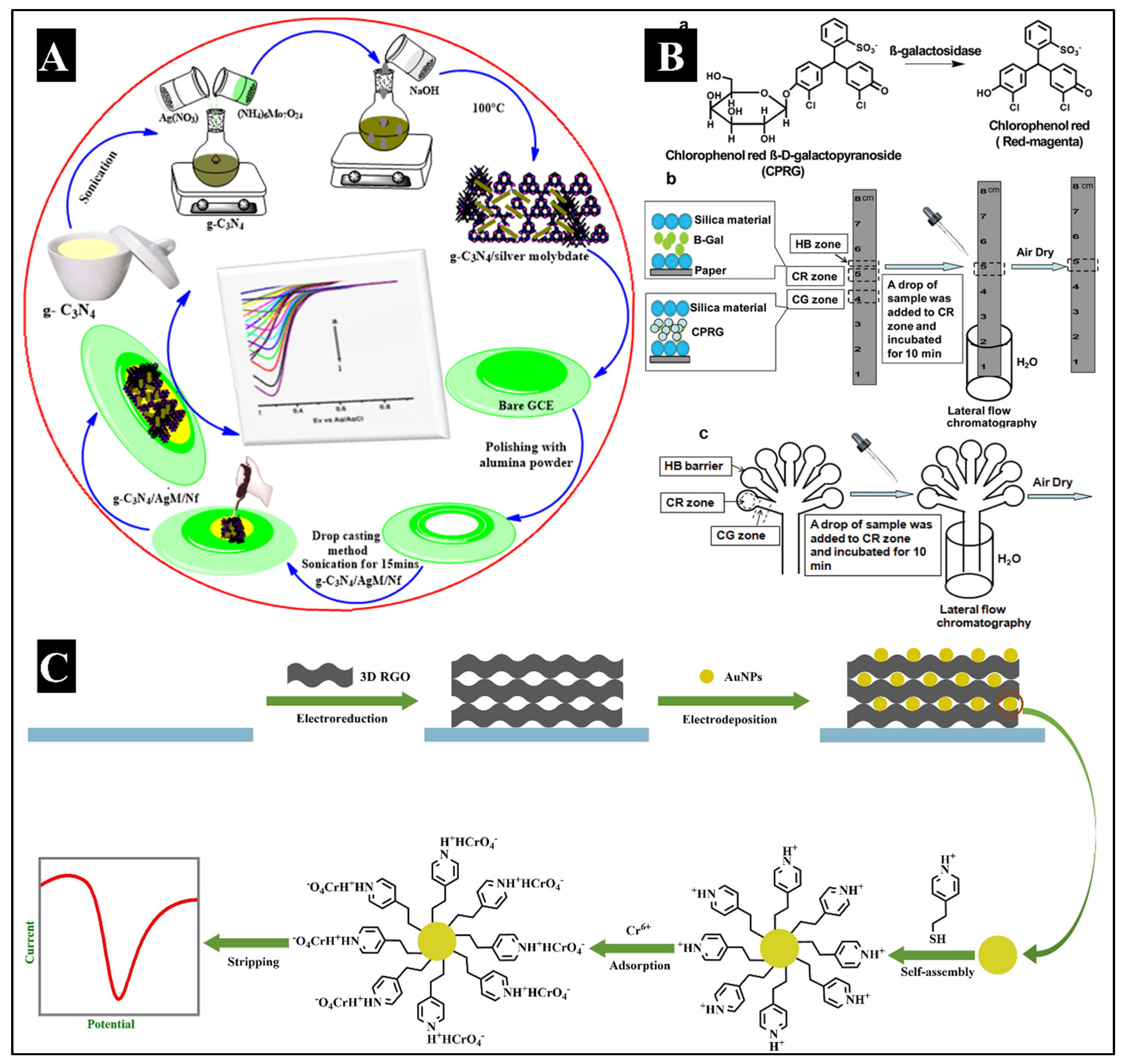 Preprints 96097 g004