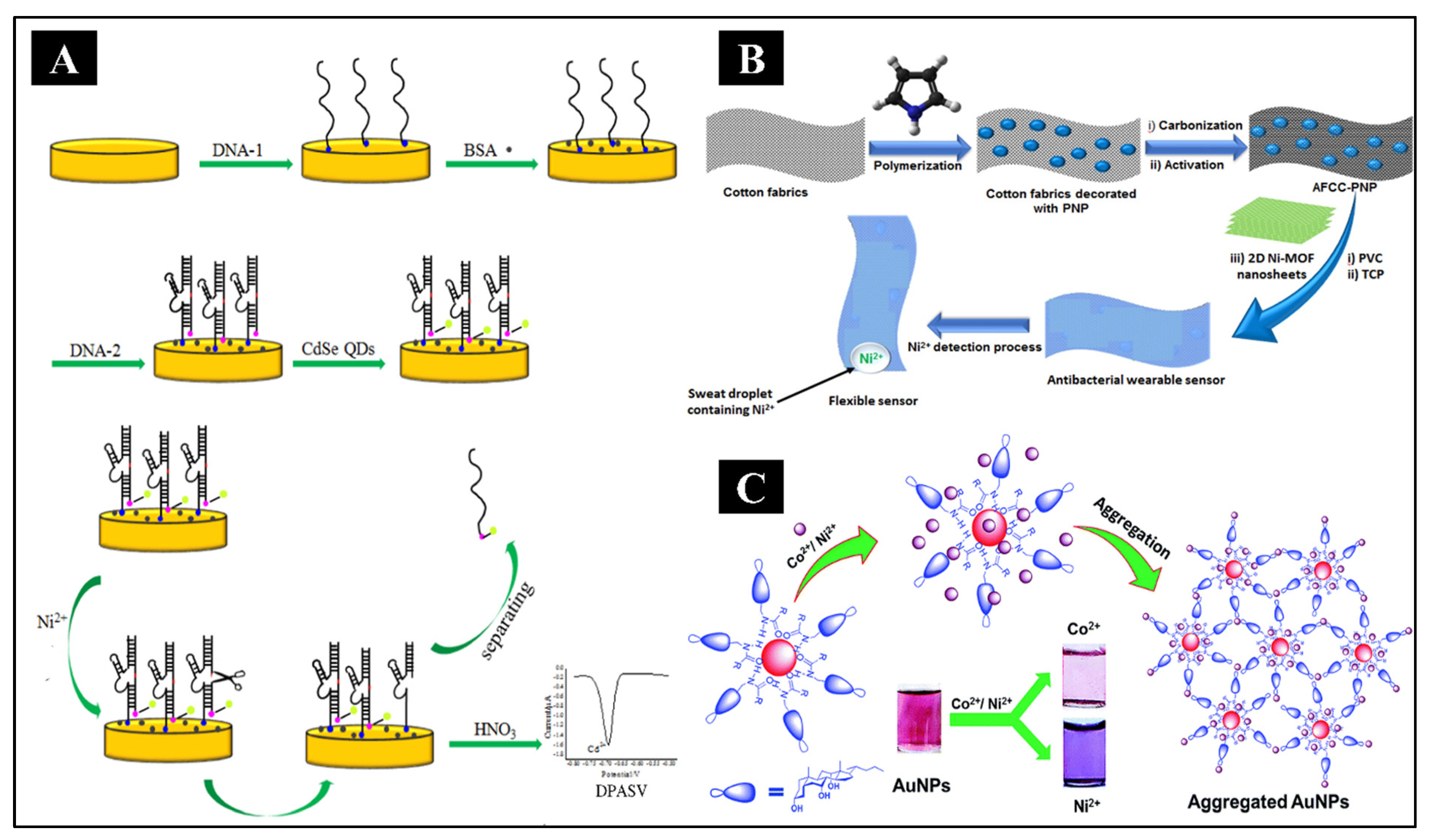 Preprints 96097 g005