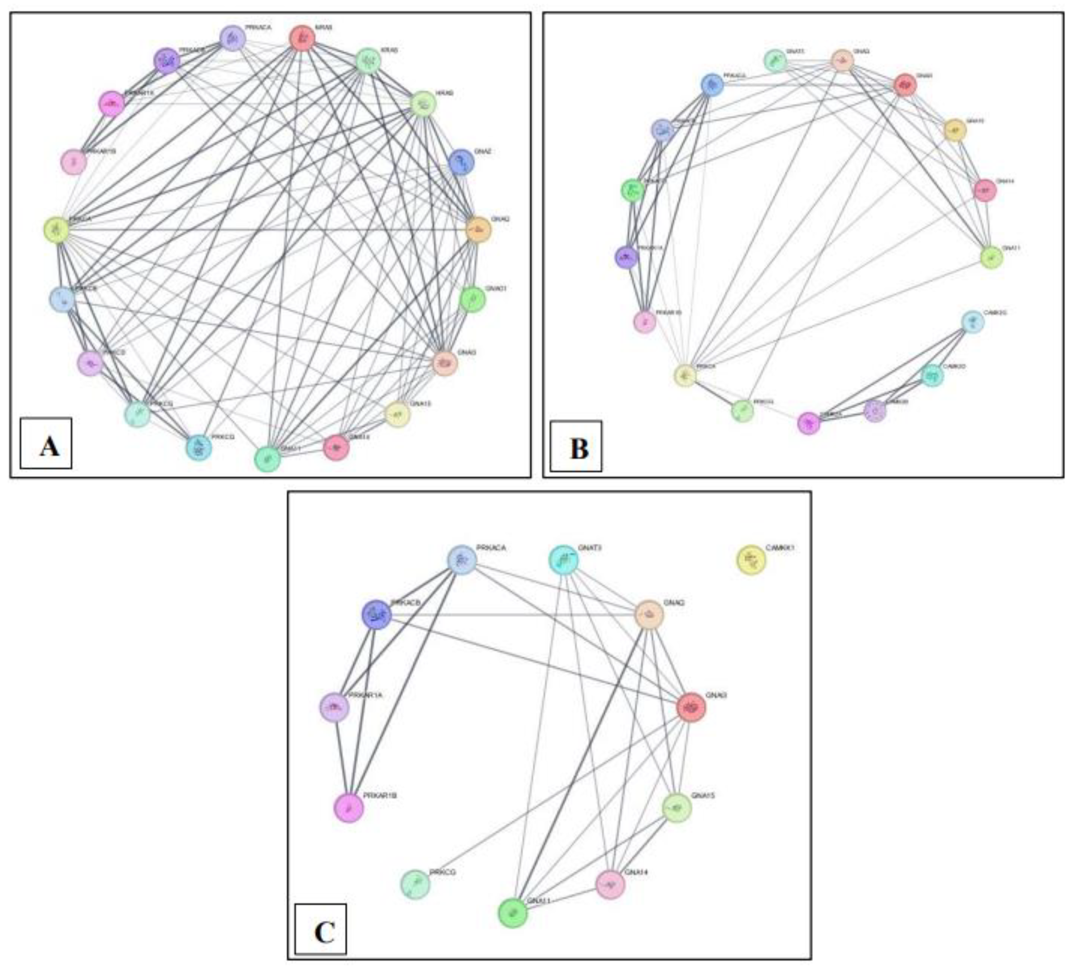 Preprints 114541 g002