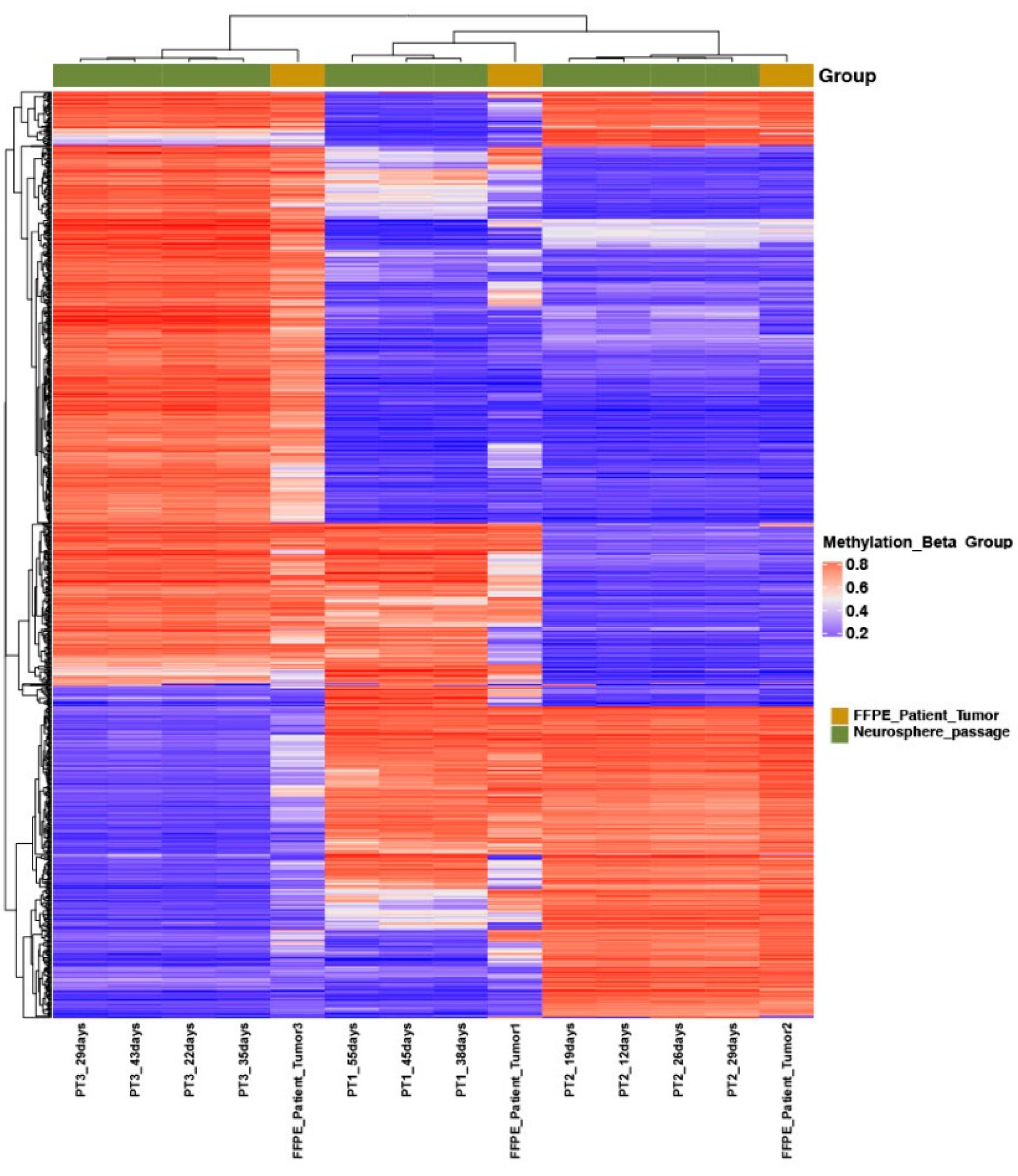 Preprints 100754 g003