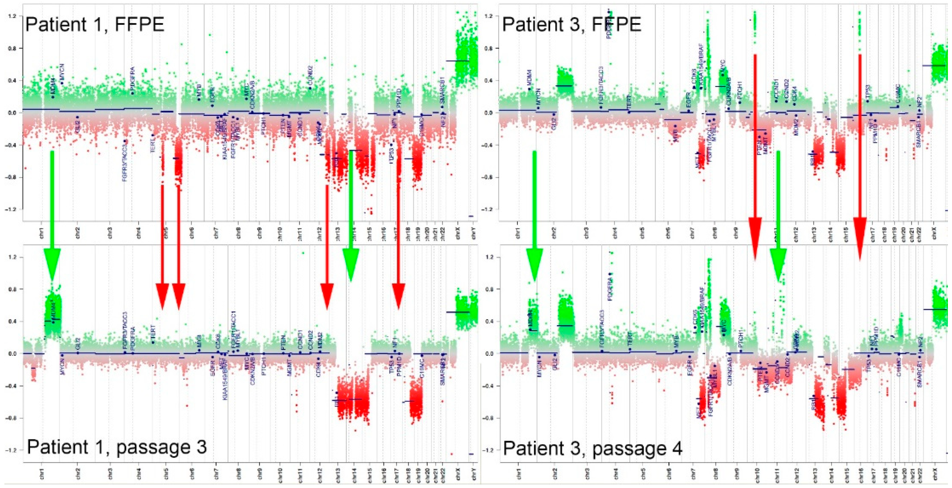 Preprints 100754 g004