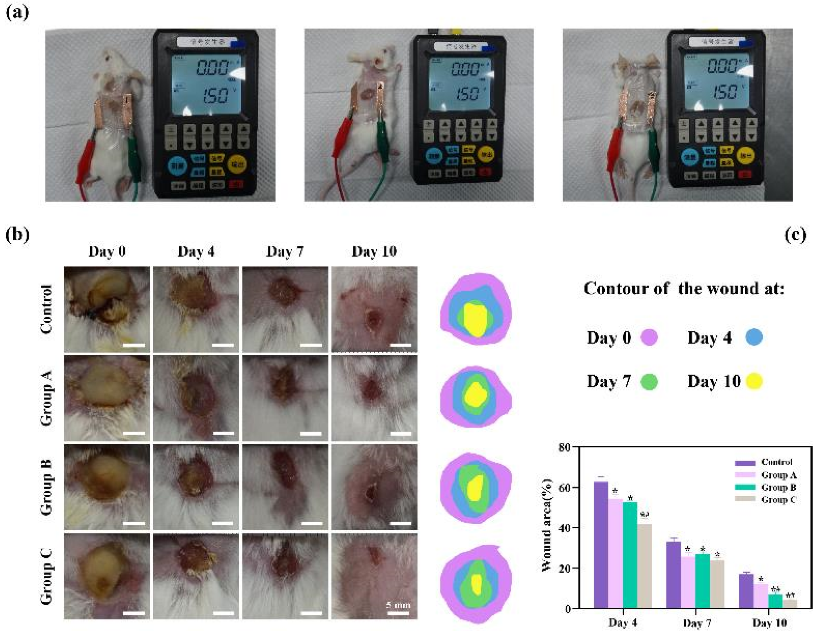 Preprints 99712 g003