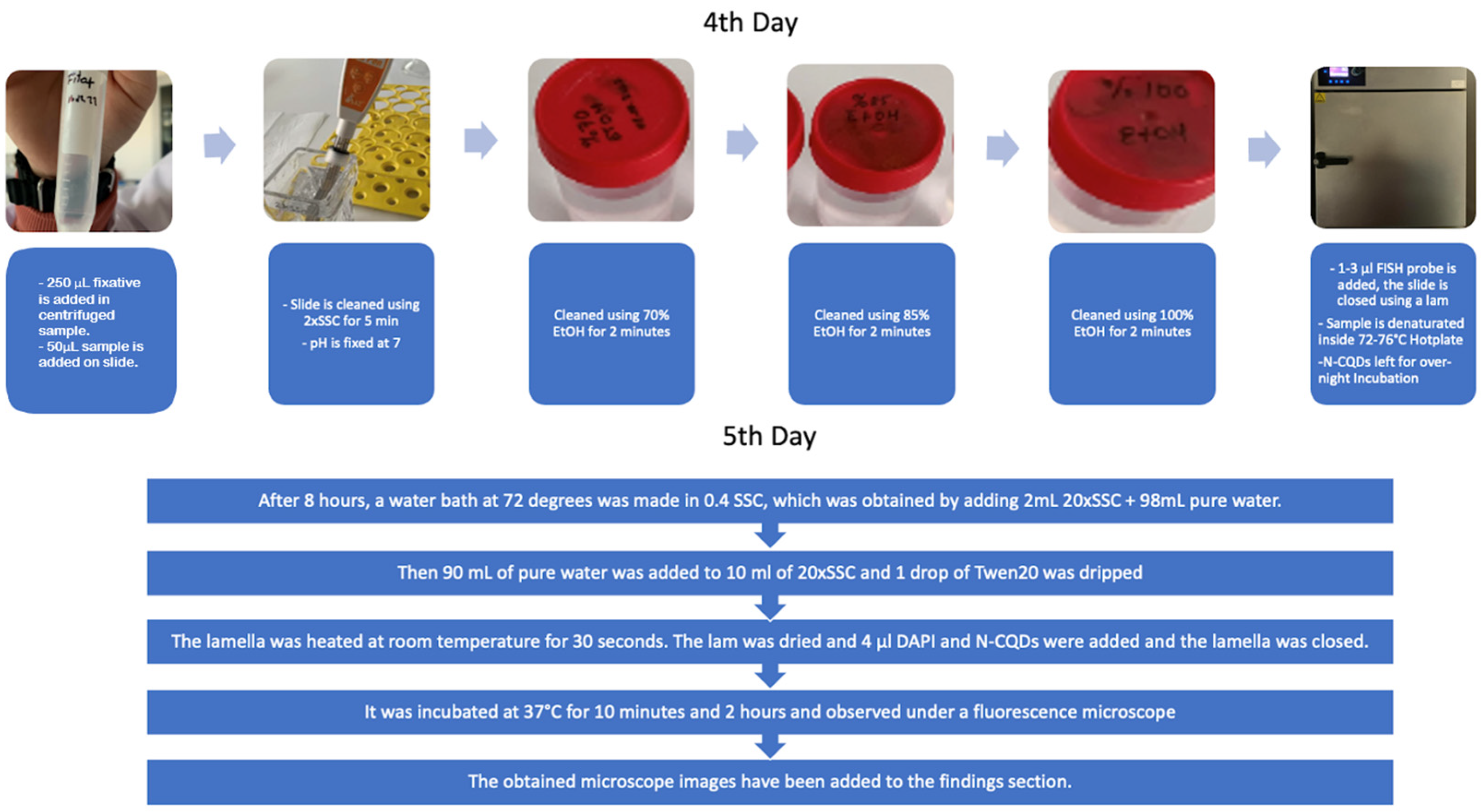 Preprints 87783 g007b