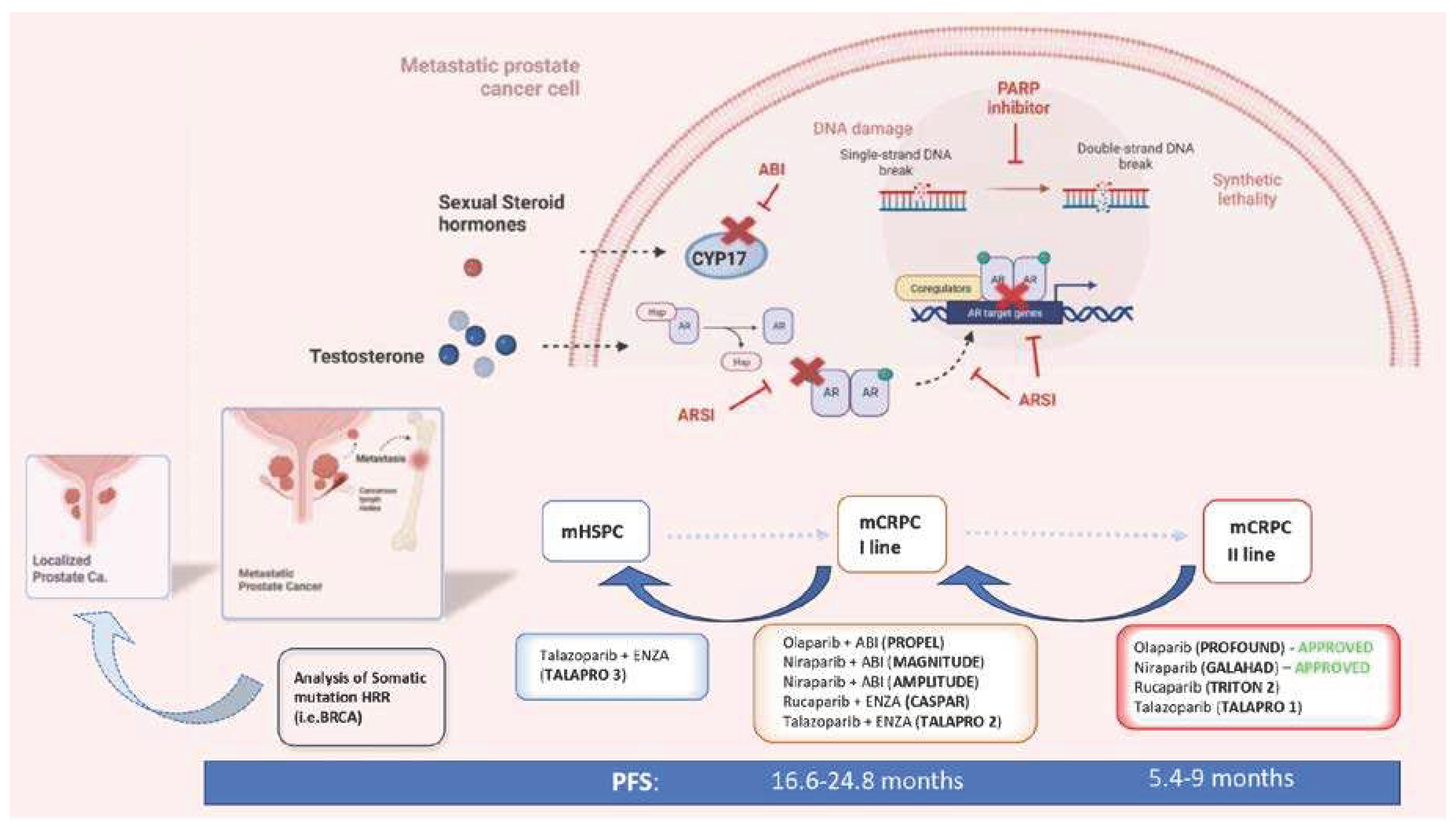 Preprints 78315 g001