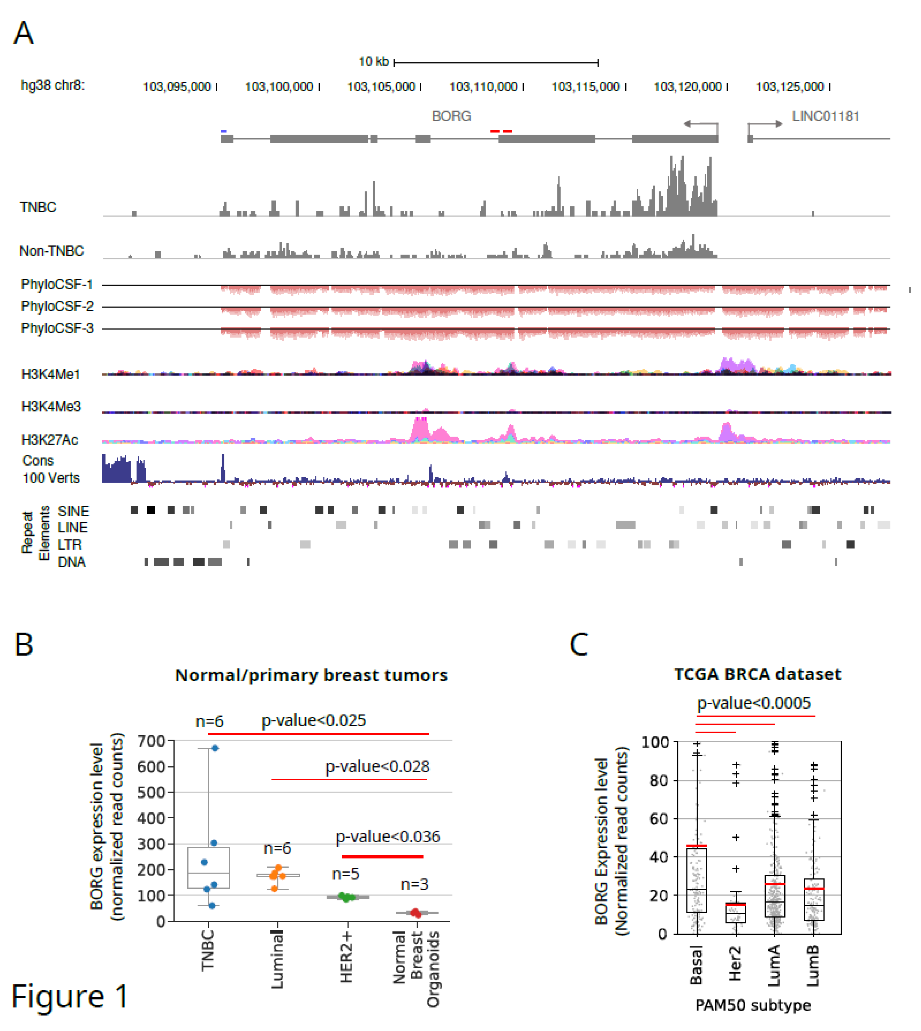 Preprints 110043 g001