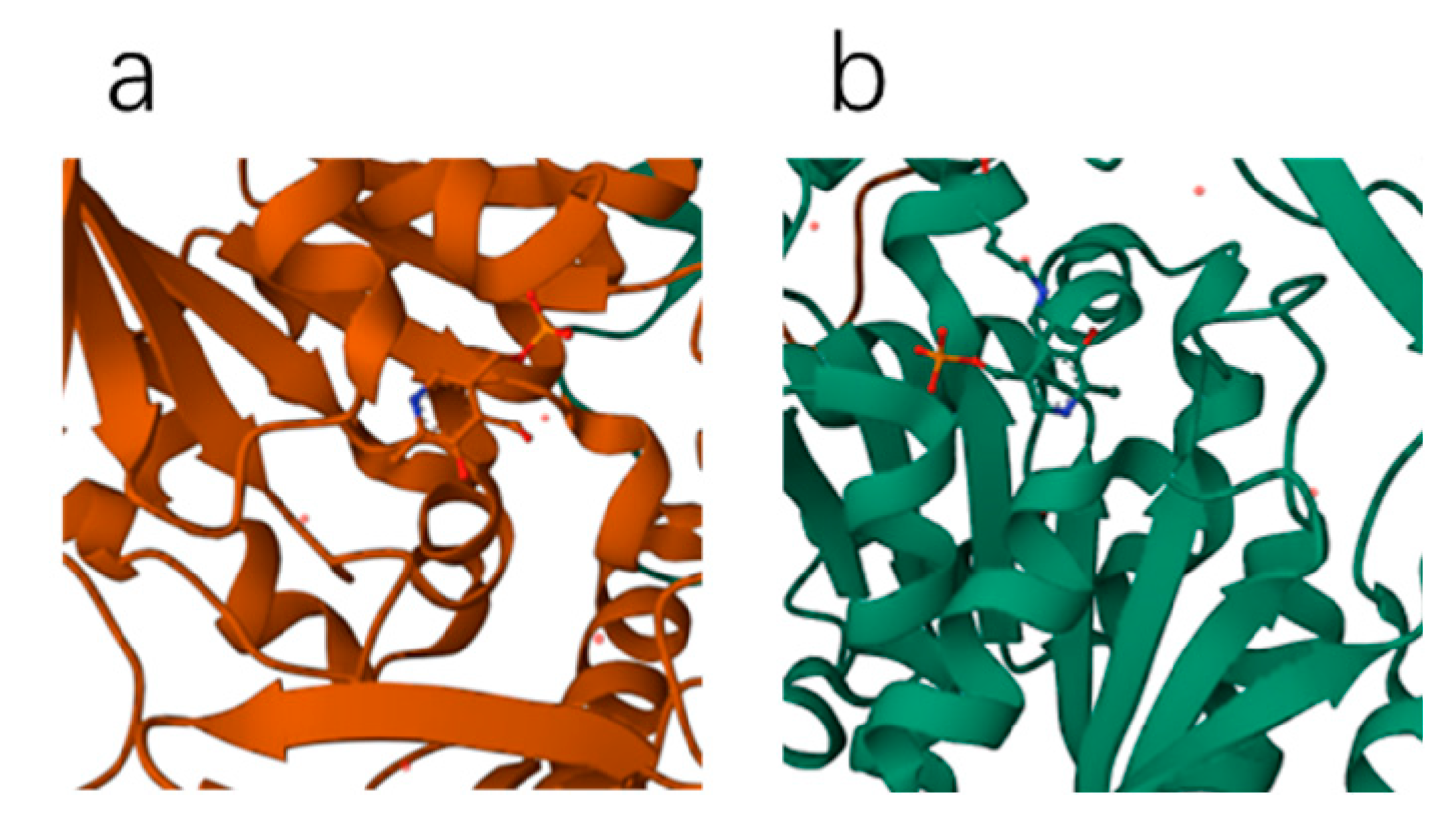 Preprints 81130 g008