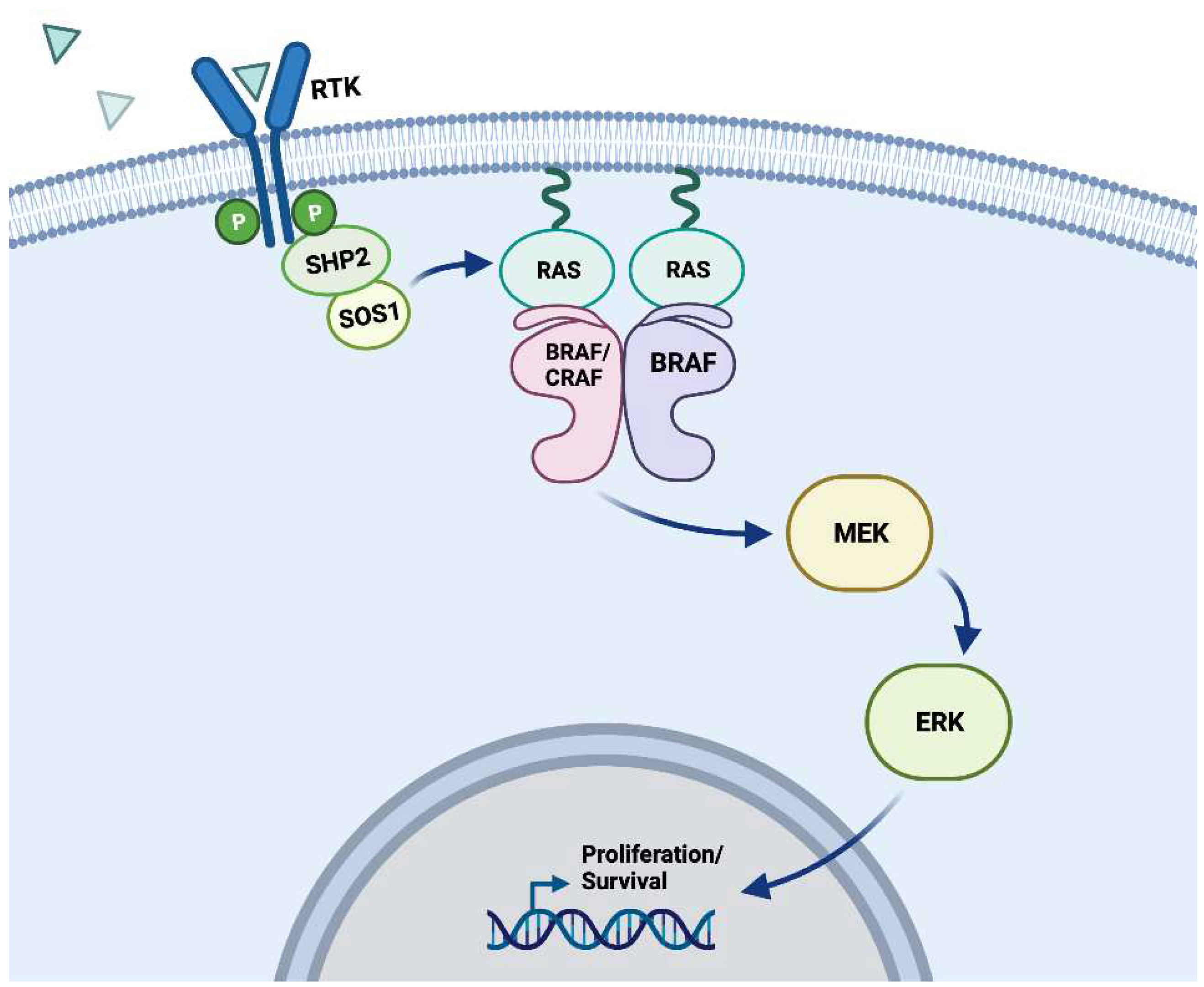 Preprints 98667 g001