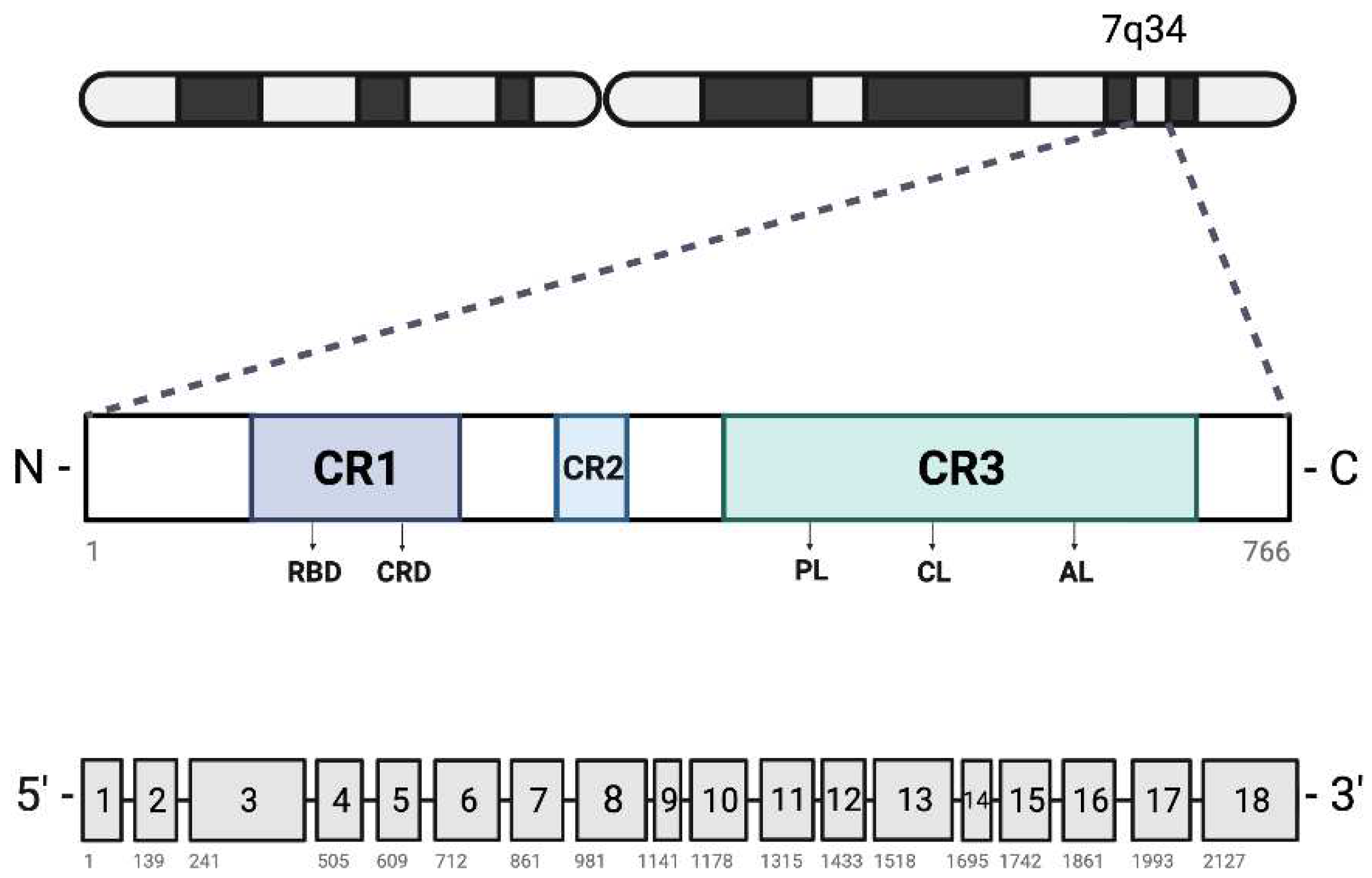 Preprints 98667 g002