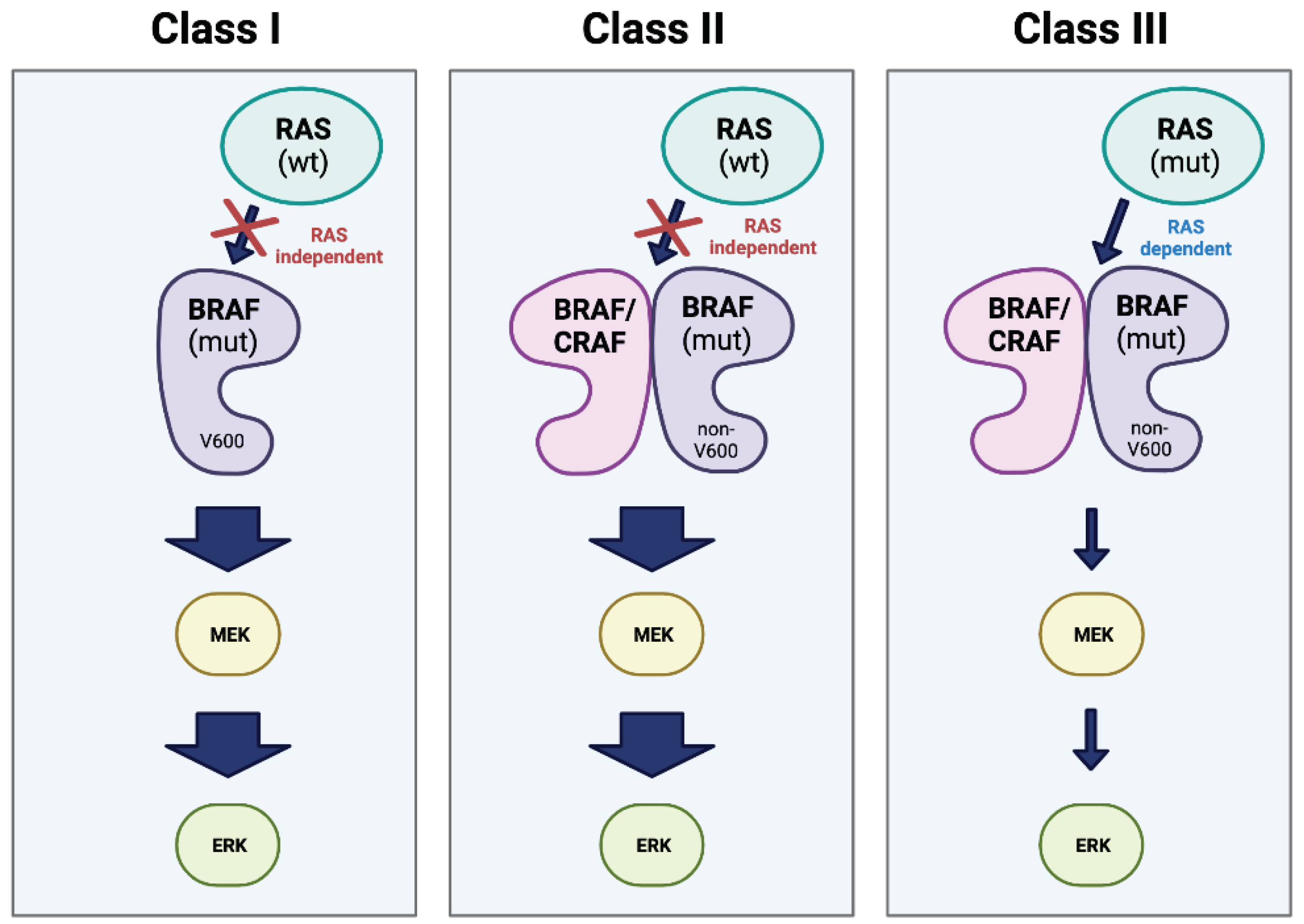 Preprints 98667 g005