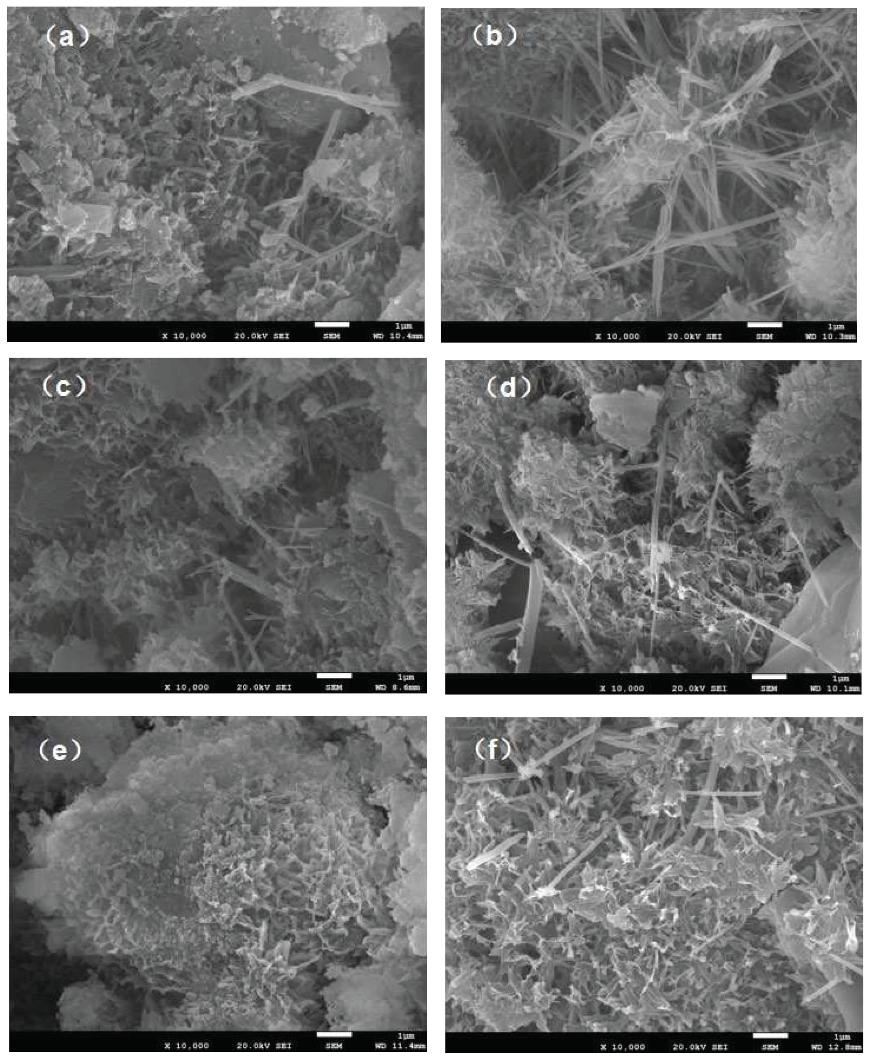 Preprints 99037 g007