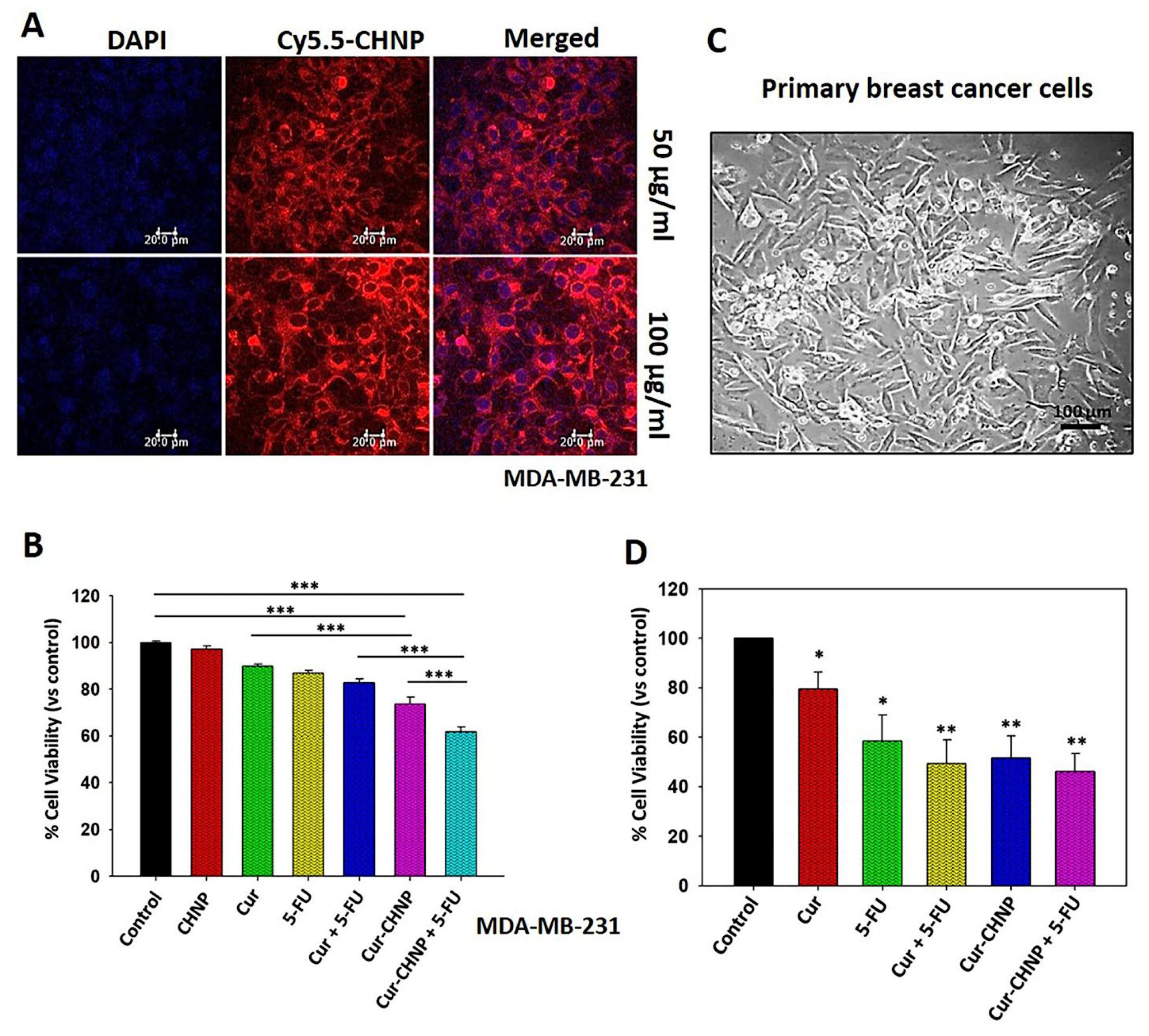 Preprints 113125 g003