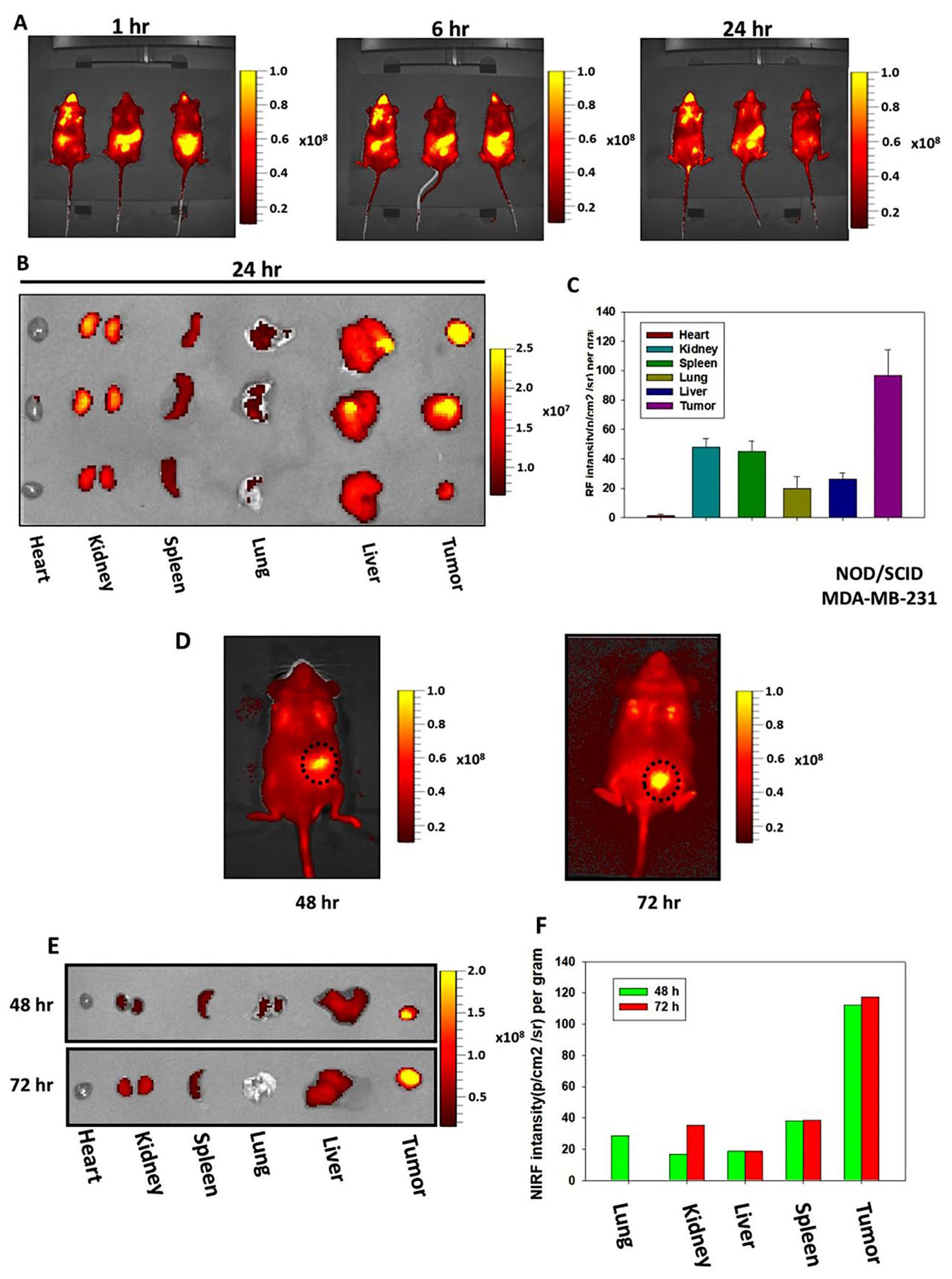 Preprints 113125 g005