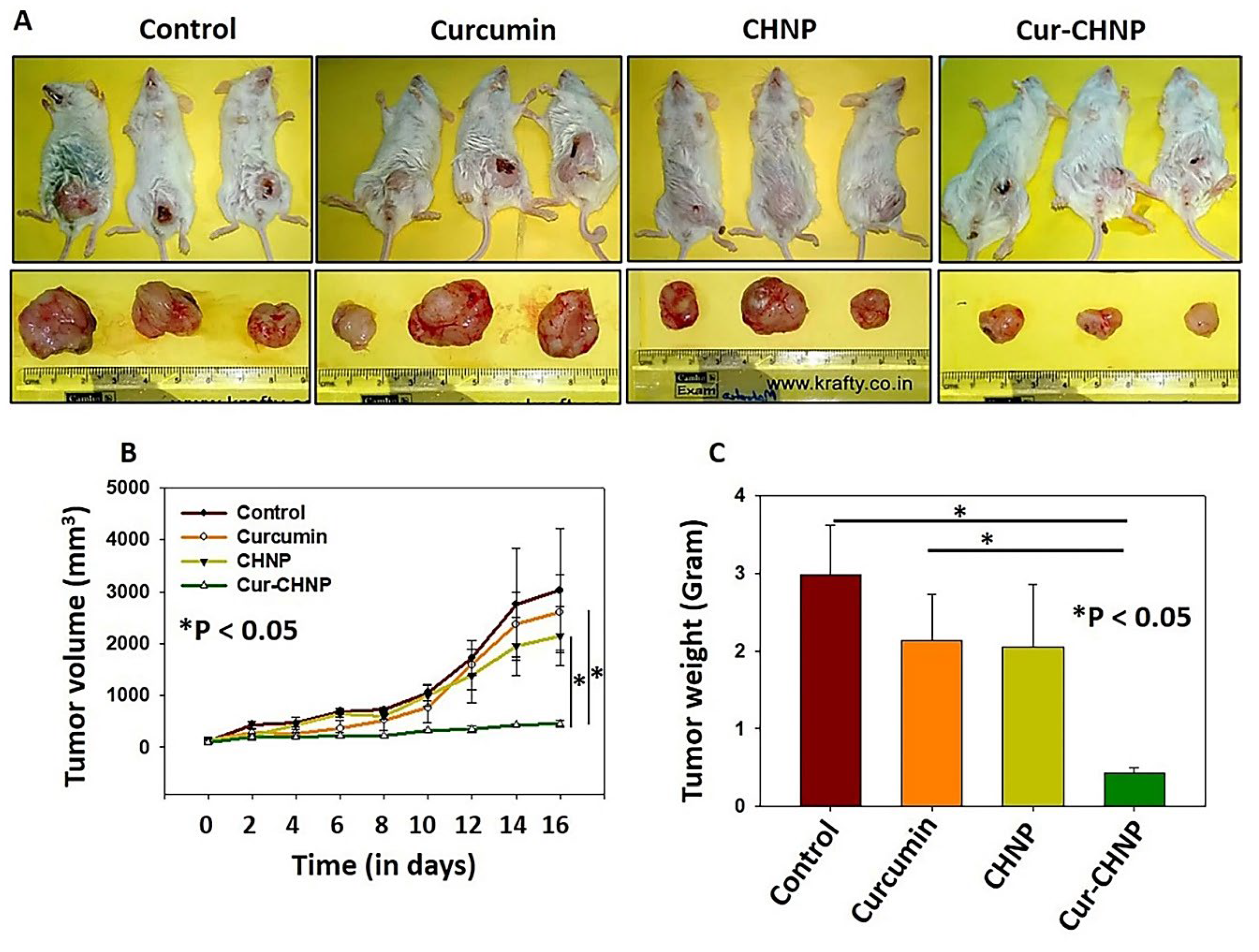 Preprints 113125 g006