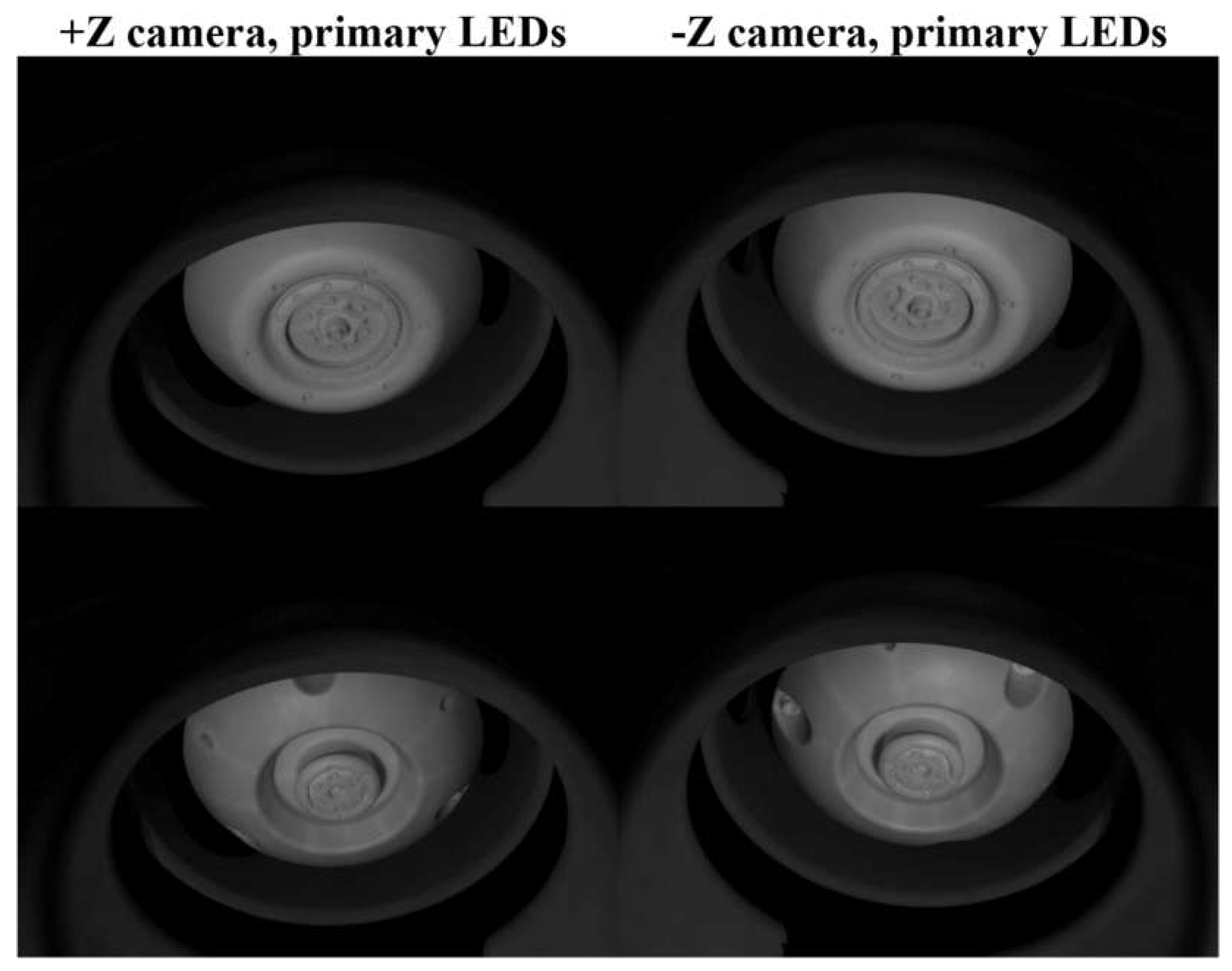 Preprints 104859 g044