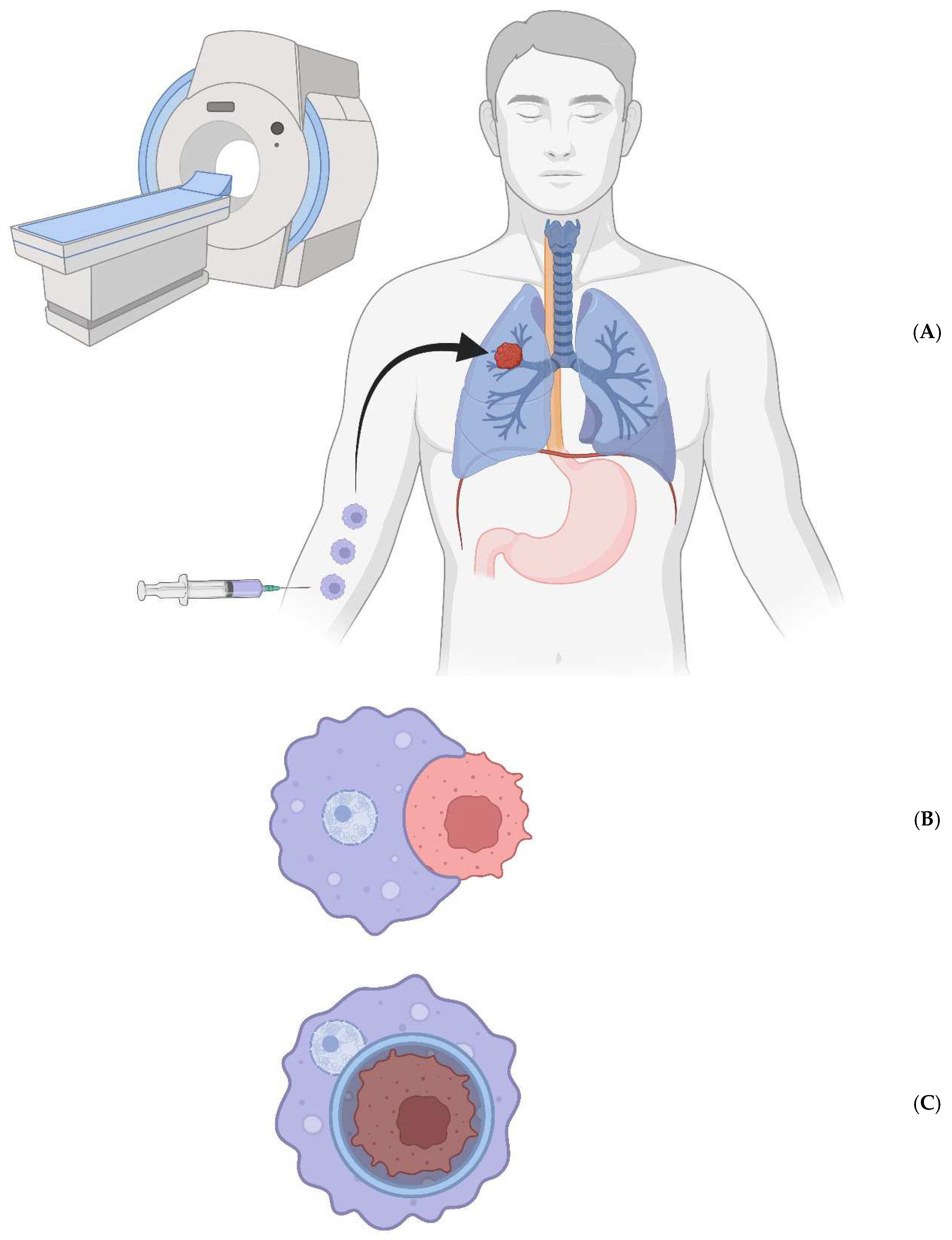 Preprints 98188 g001a