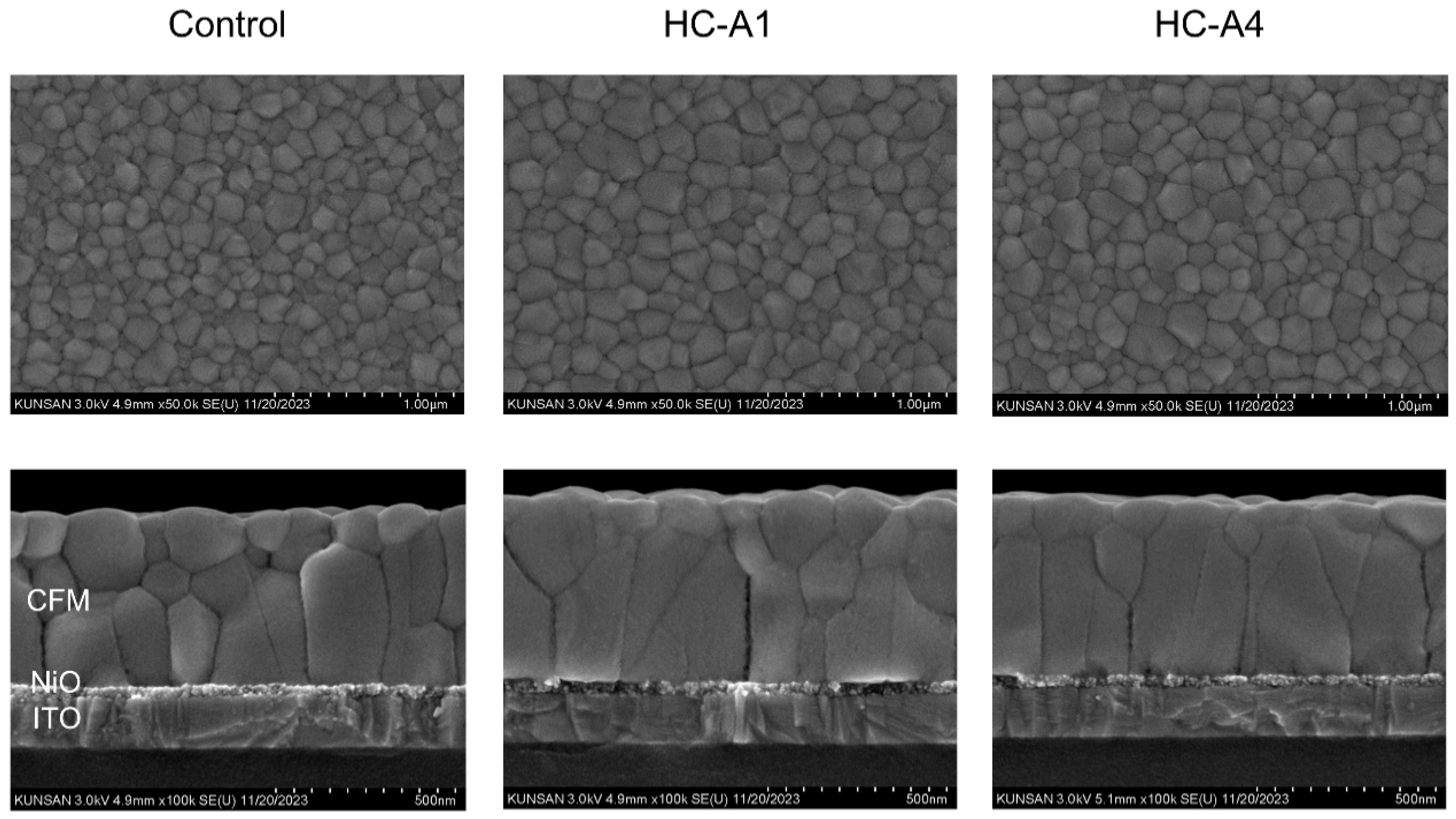 Preprints 94984 g003