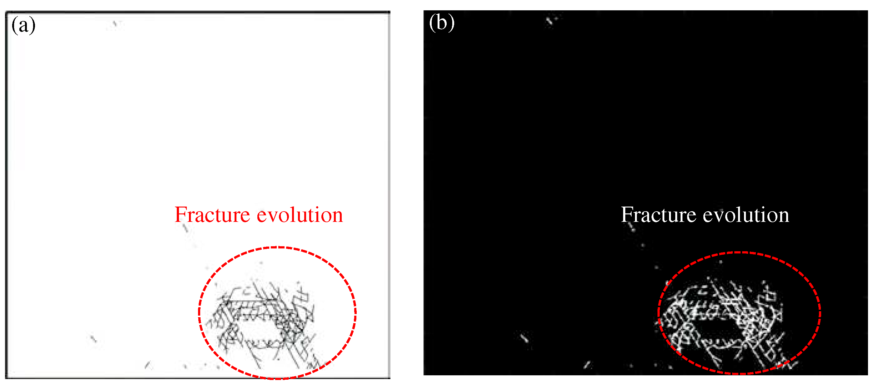 Preprints 93767 g011