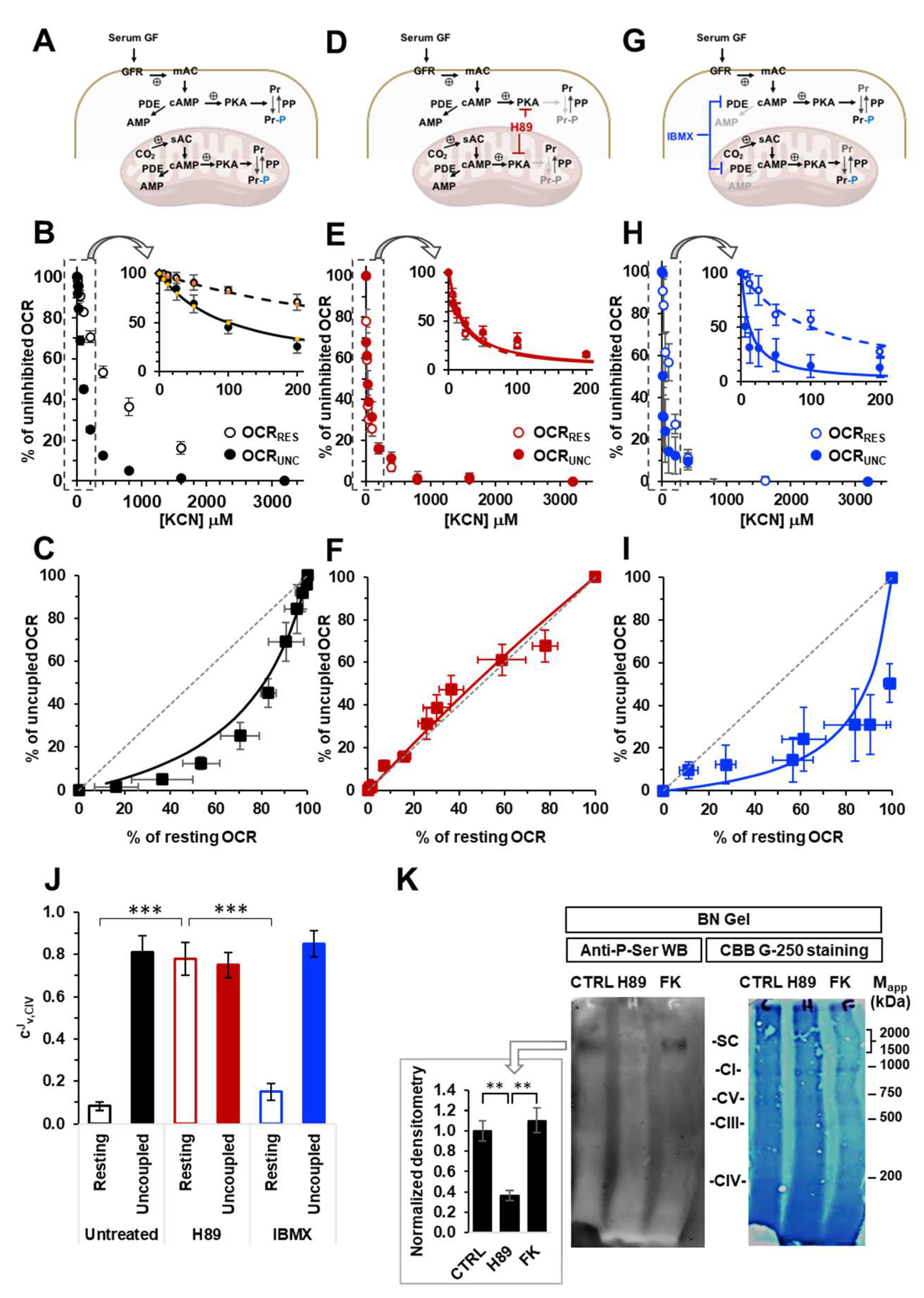 Preprints 86451 g001