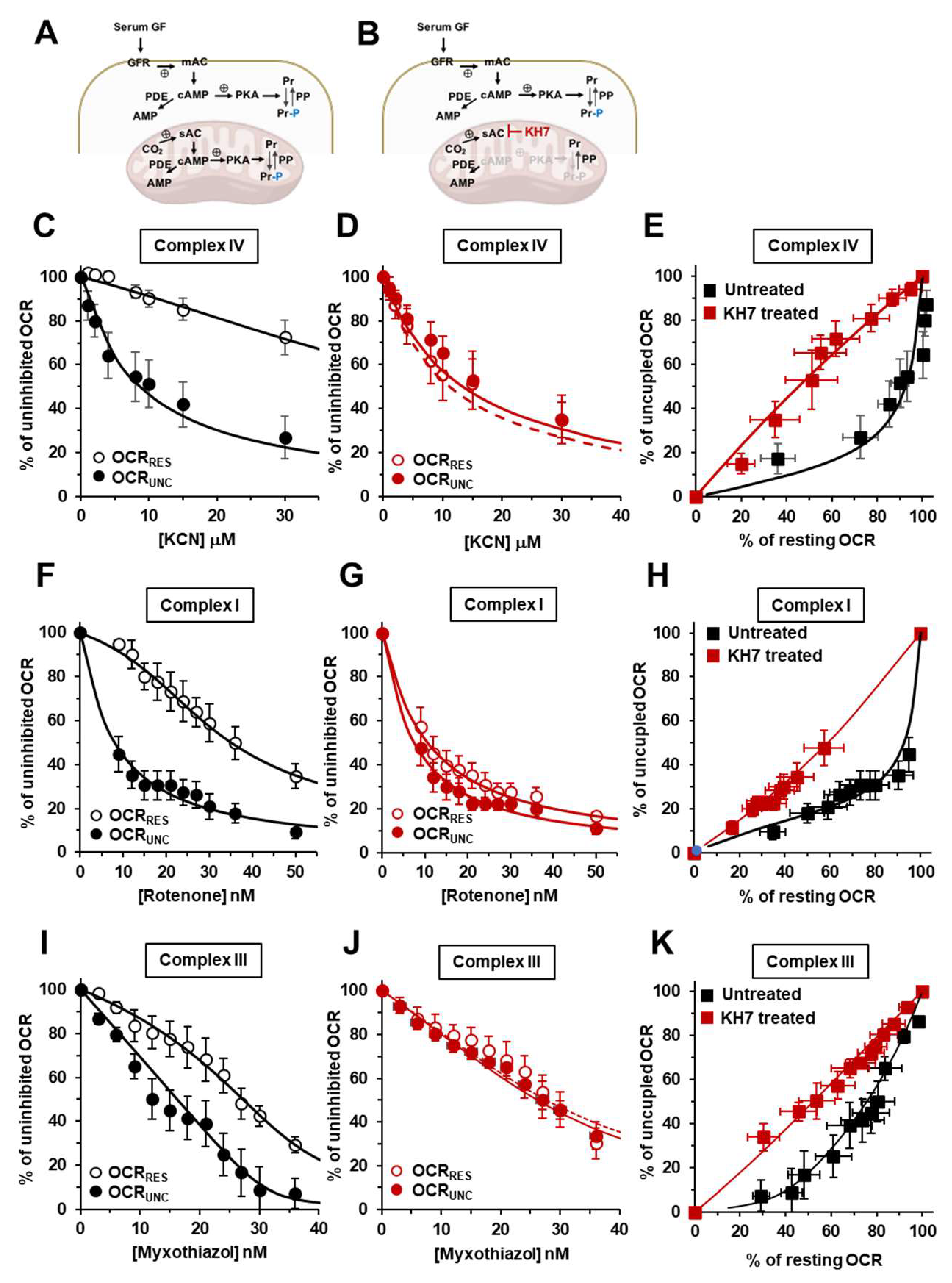 Preprints 86451 g002