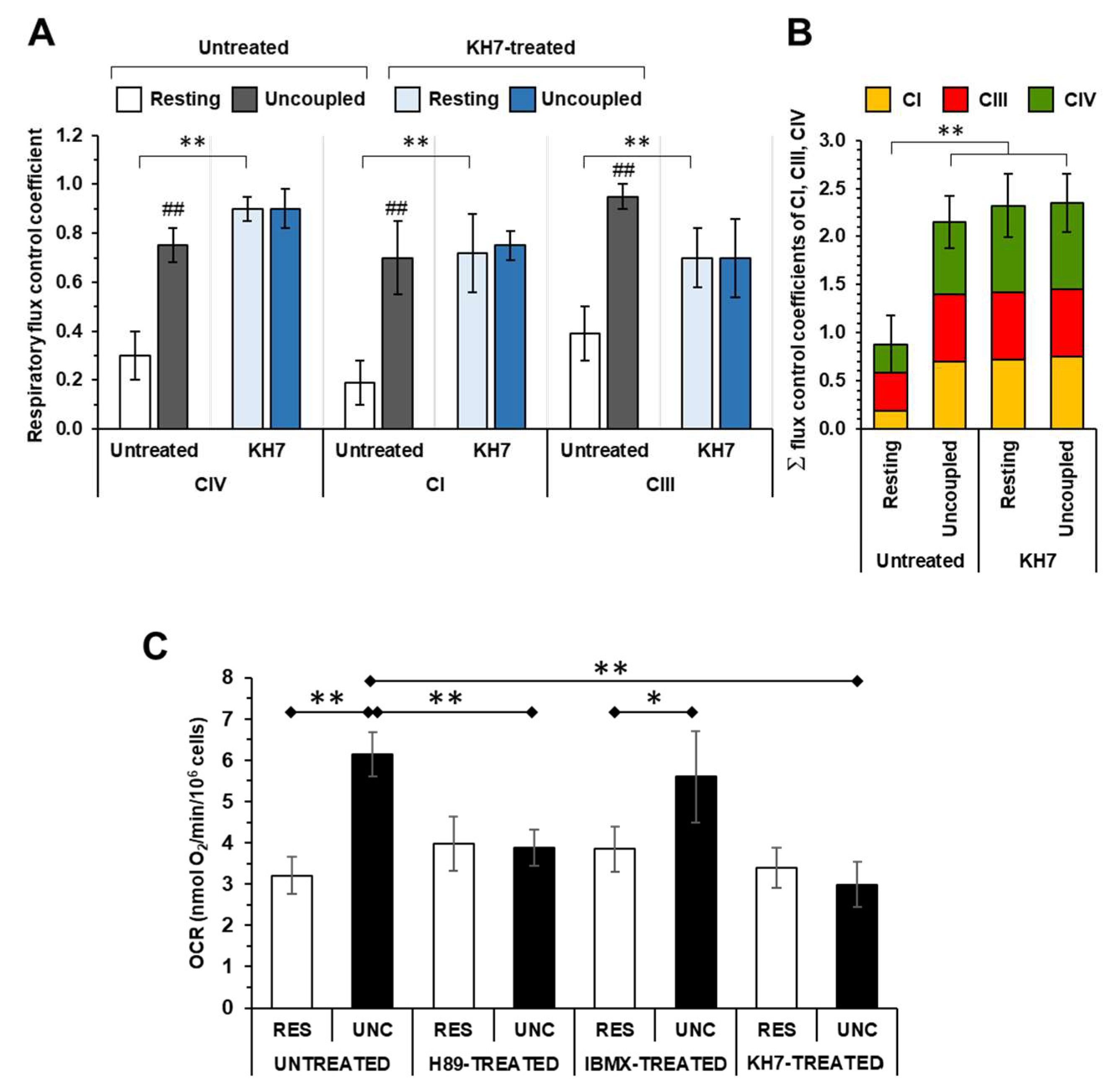 Preprints 86451 g003