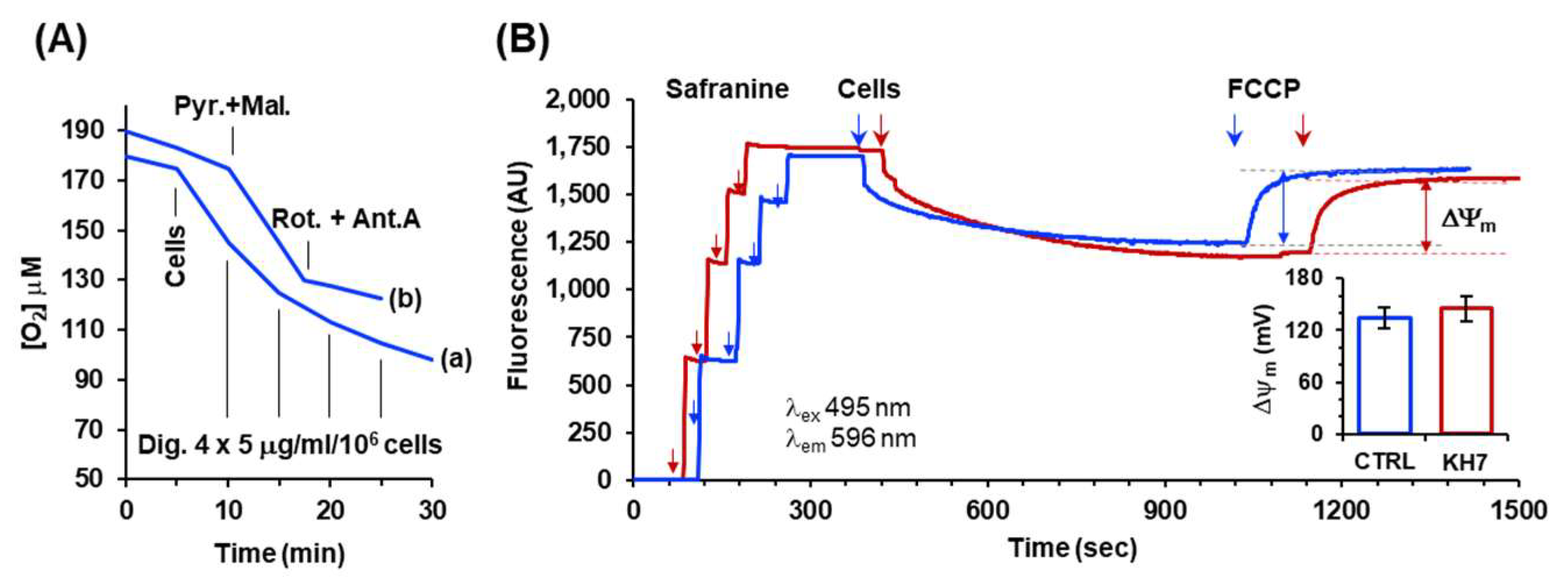 Preprints 86451 g004