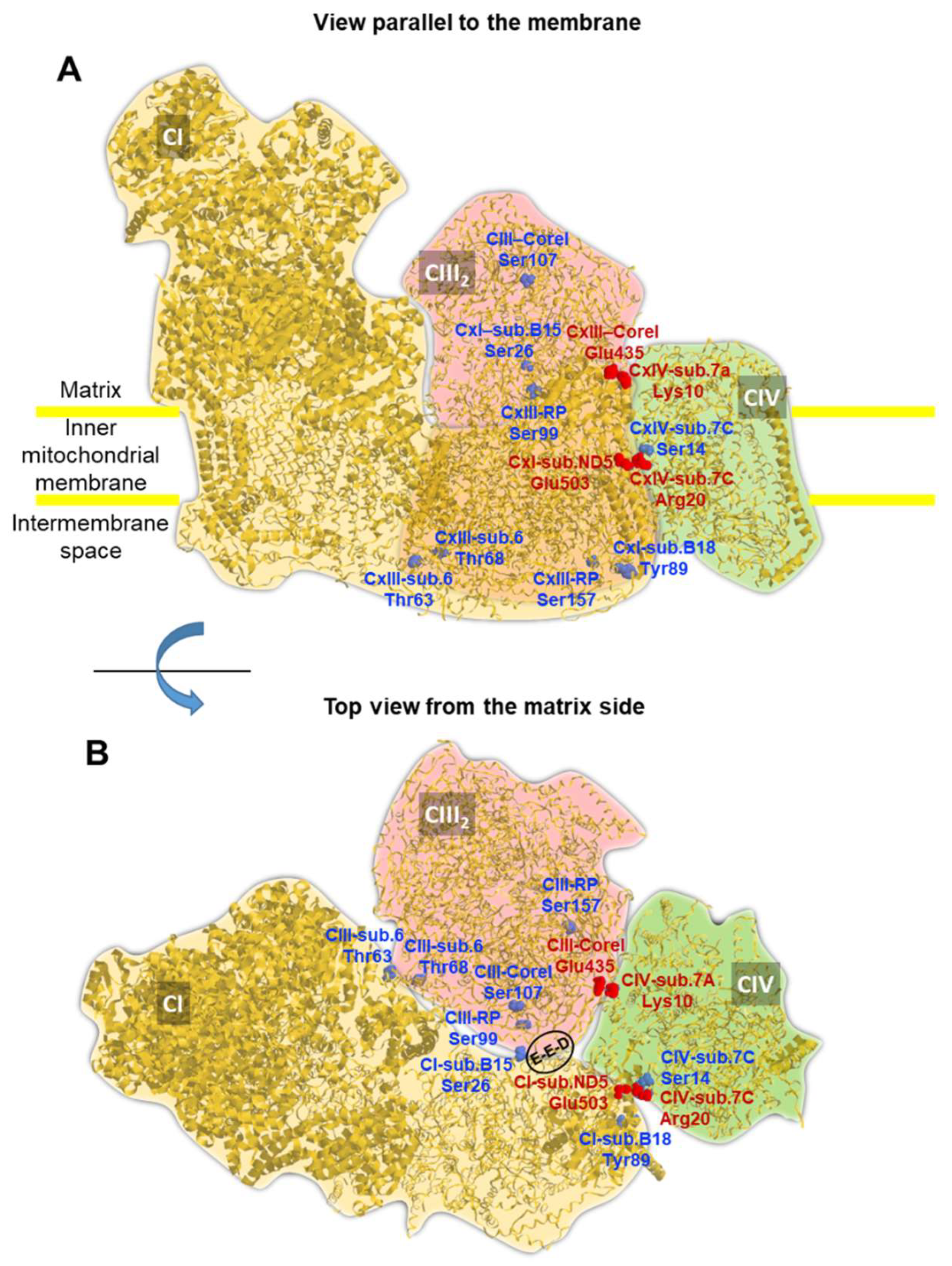 Preprints 86451 g005