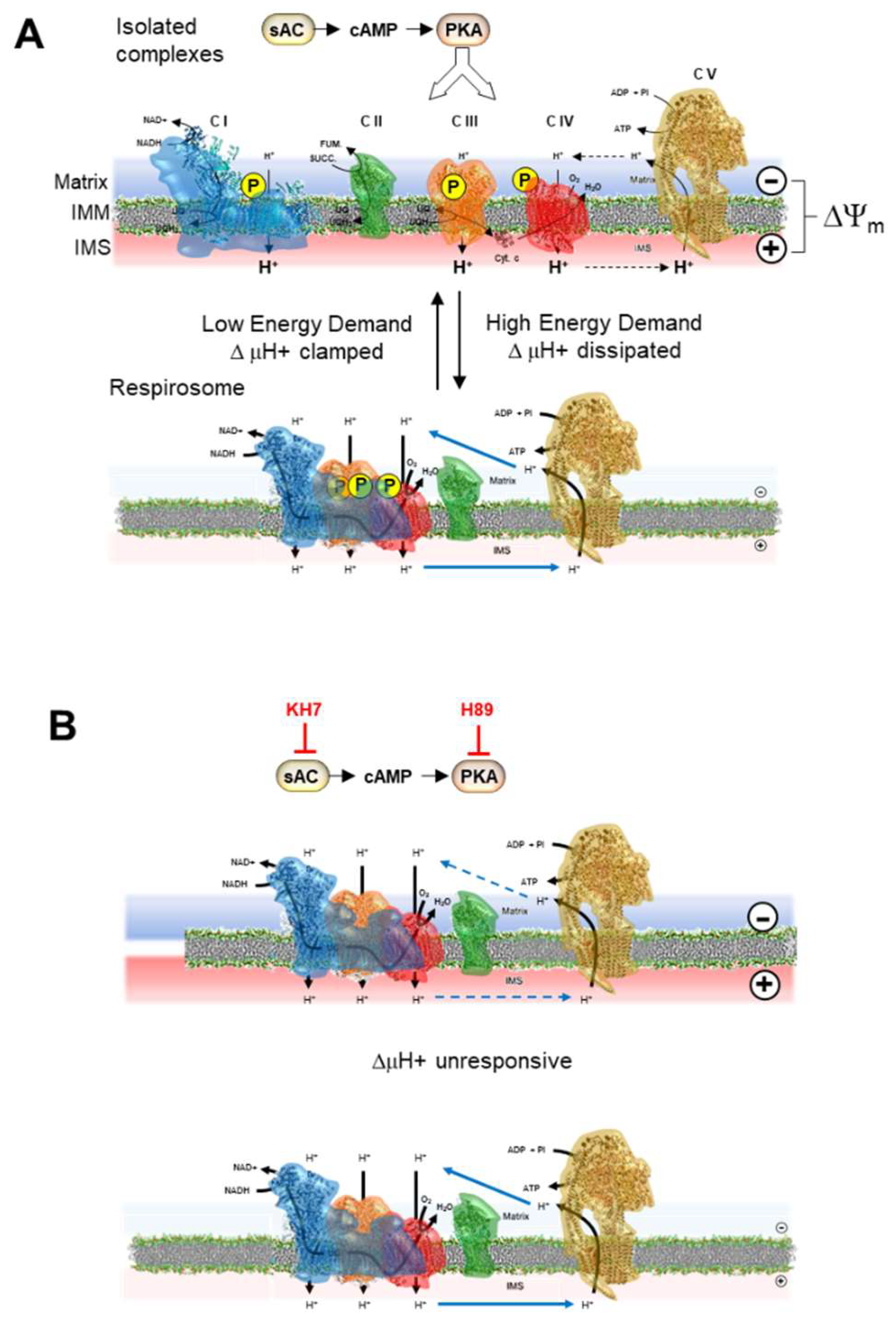 Preprints 86451 g006