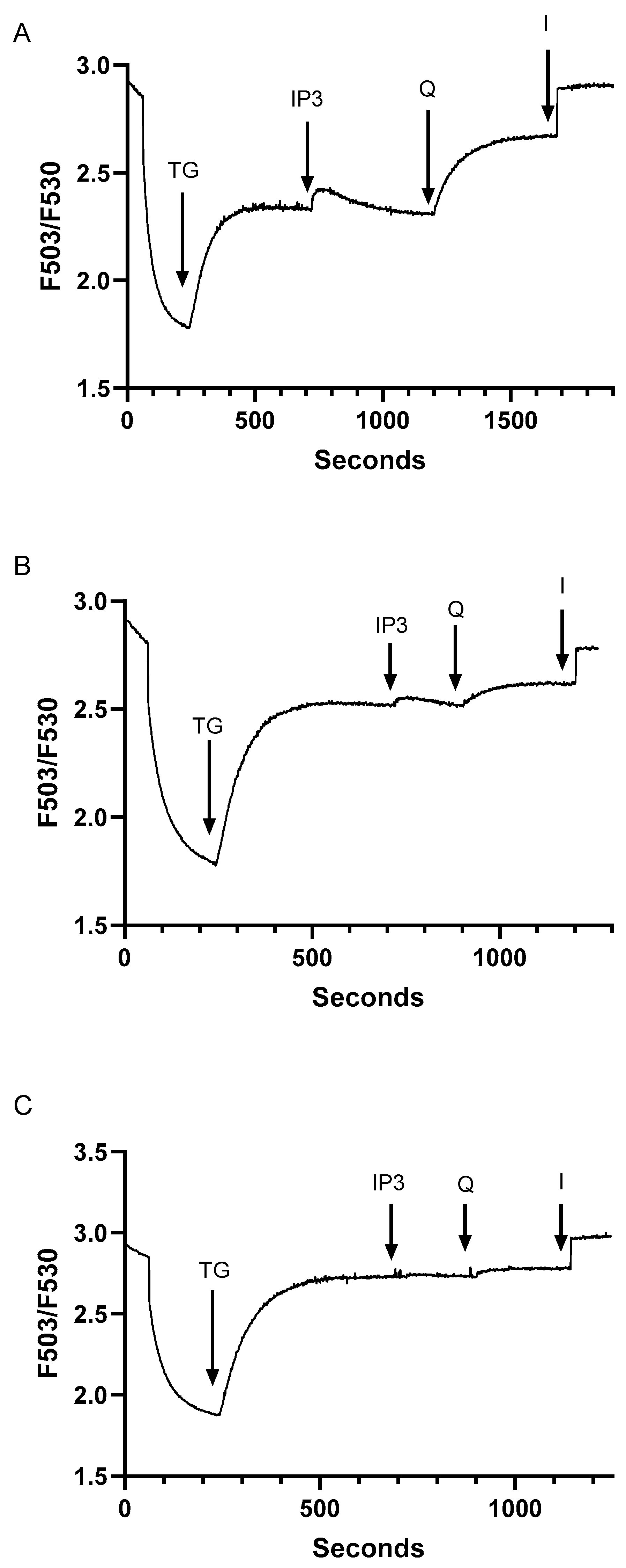 Preprints 107962 g003