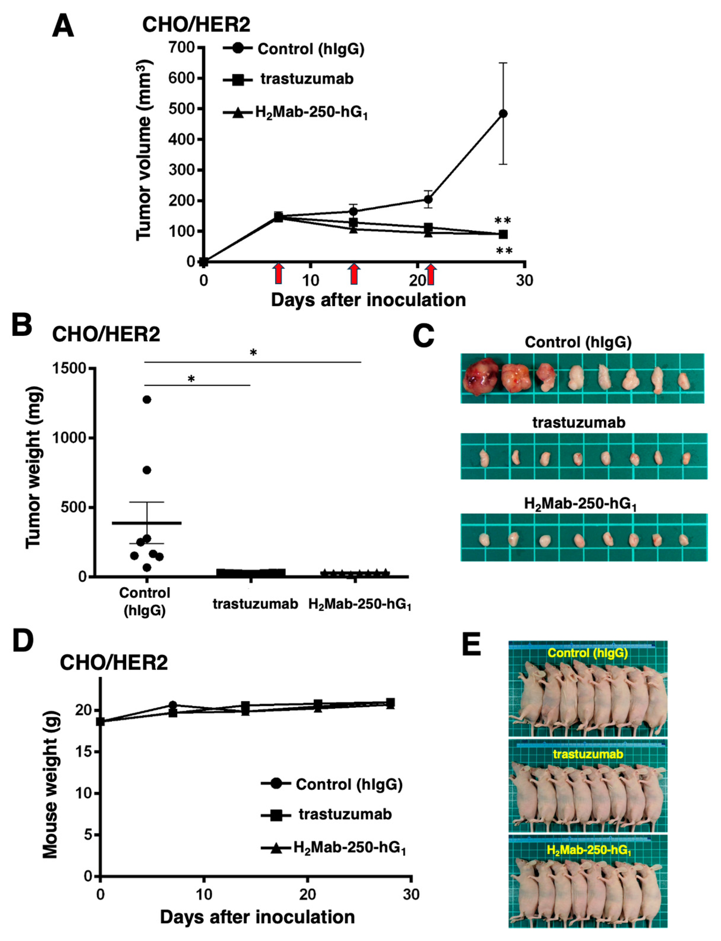 Preprints 111768 g003